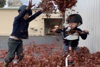 This Week’s Fresh Batch December 20th