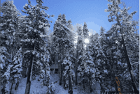 Five Before the Weekend