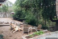 Friday’s Essential Five