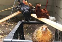 Five Fresh Friday Finds