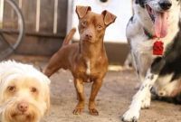 Five Fast Friday Favorites