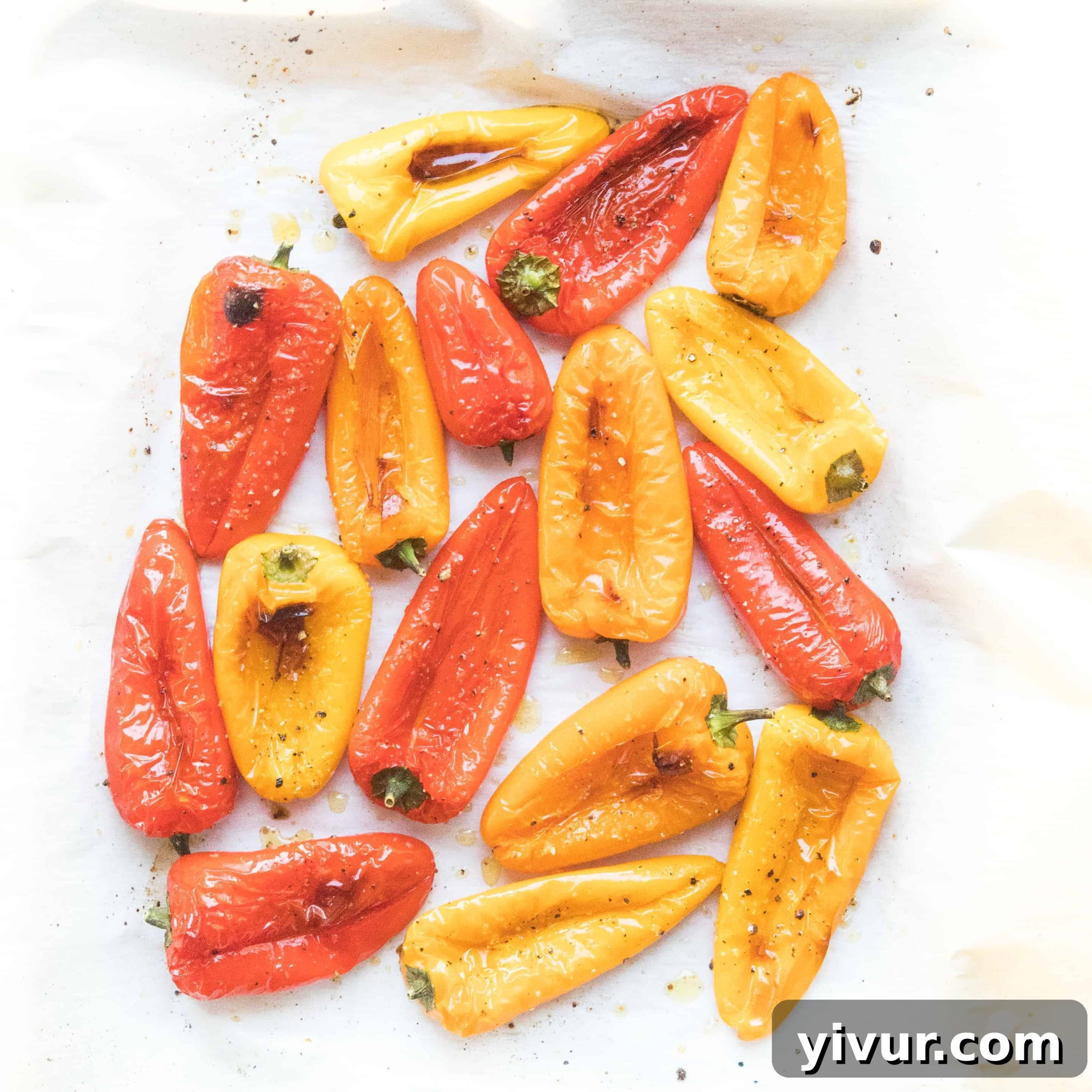 featured 9288 scaled