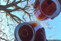 Friday’s Featured Five