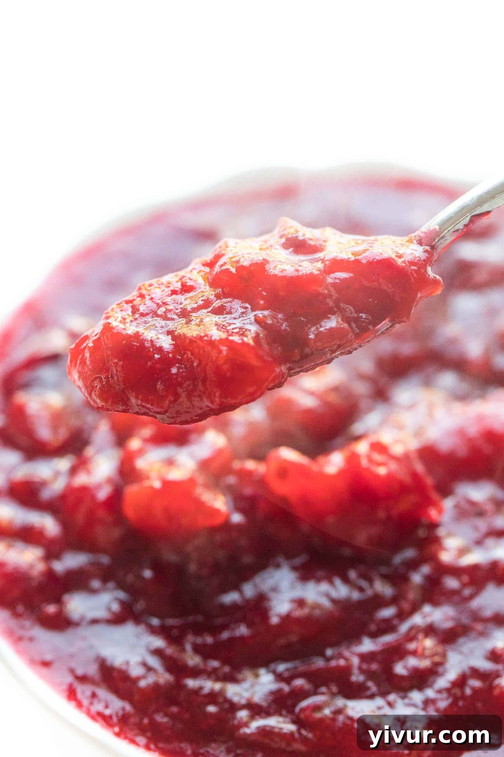 spoon dripping cranberry sauce in a white bowl, close up of the texture