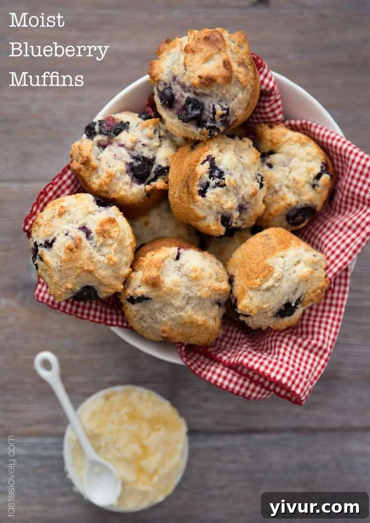 Ultra moist blueberry muffins made with greek yogurt, freshly baked