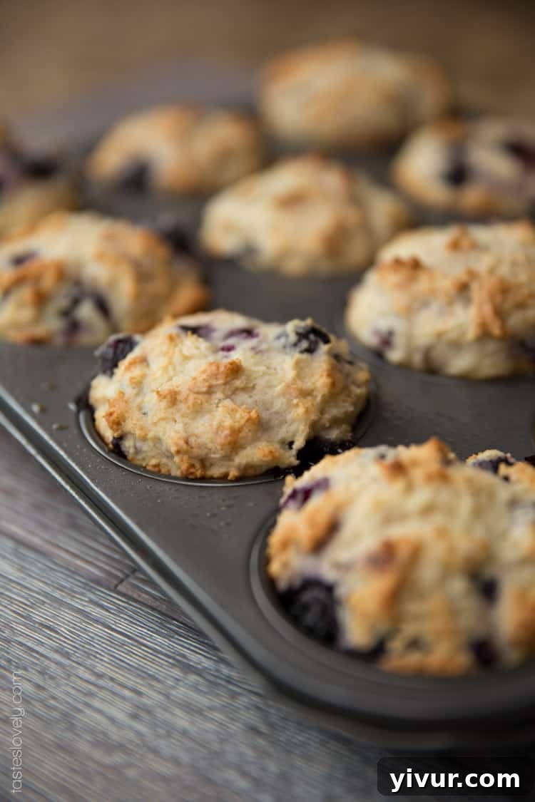 Freshly baked blueberry muffins, side view, showing crispy exterior and moist crumb