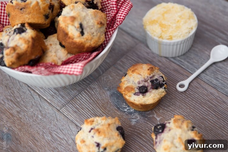 Overhead shot of freshly baked blueberry muffins with Greek yogurt