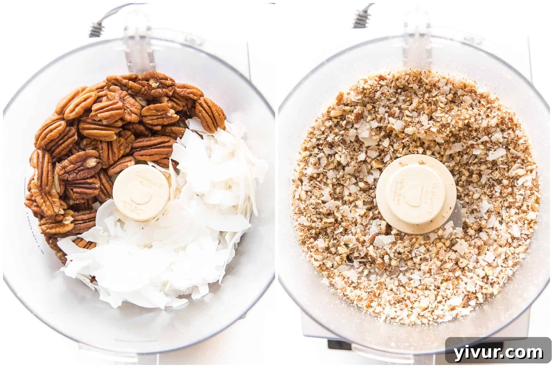 Whole30 Keto No-Bake Berry Delight 4 pecan + coconut chips in a food processor