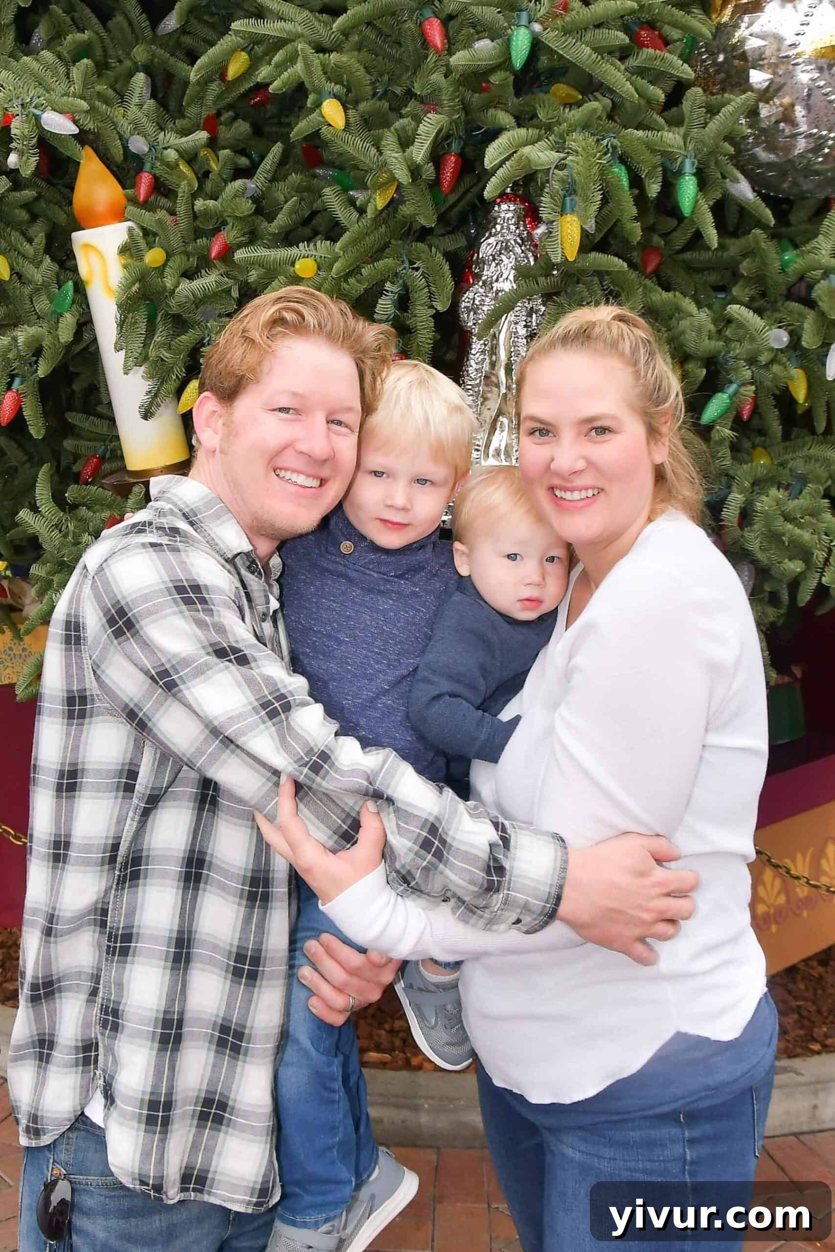 Disneyland castle at sunset