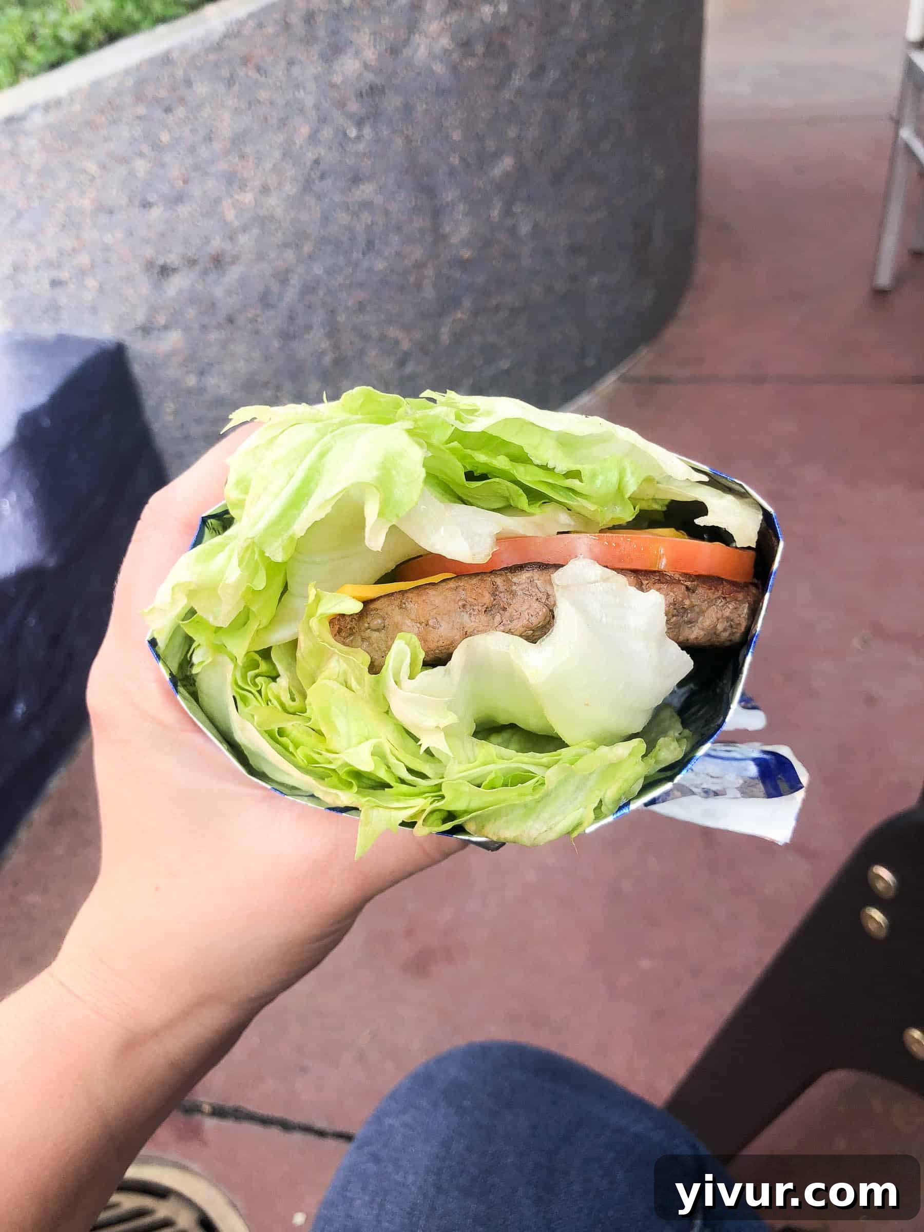 Stroller parked at Disneyland