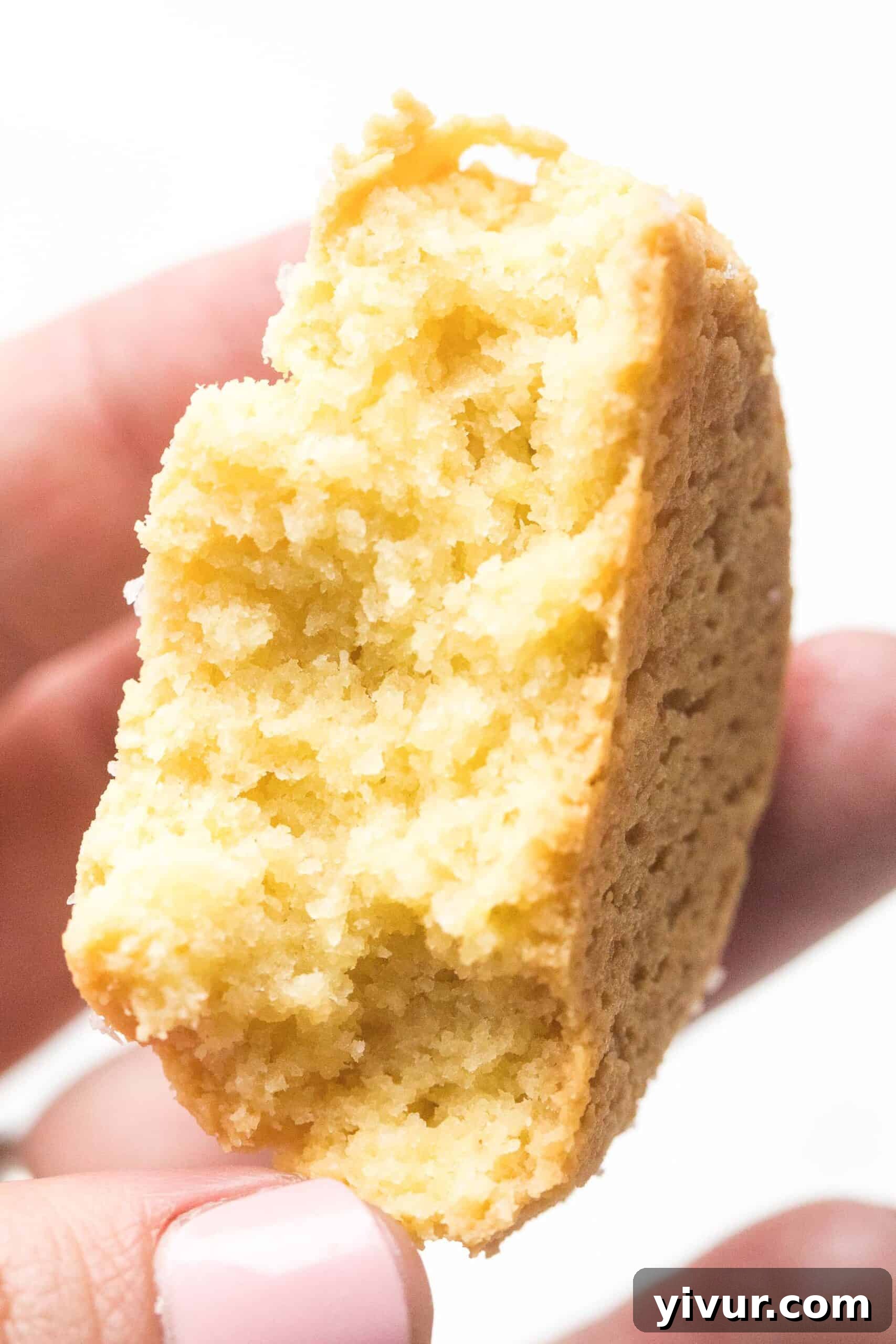 A close-up shot of the interior of a freshly baked keto biscuit, showing its tender, flaky crumb structure.