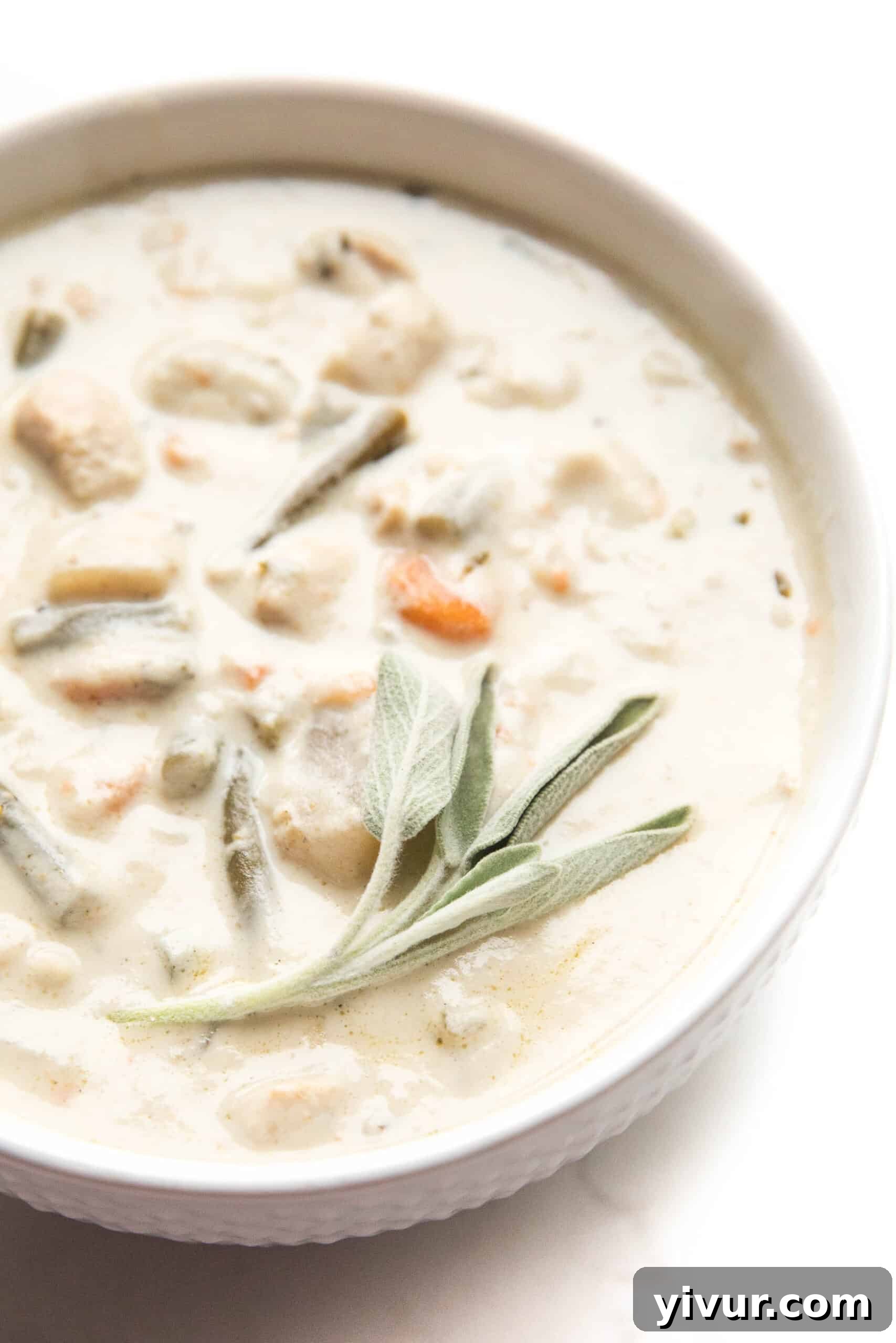 chicken chowder in a white bowl with fresh sage garnish on top, ready to serve
