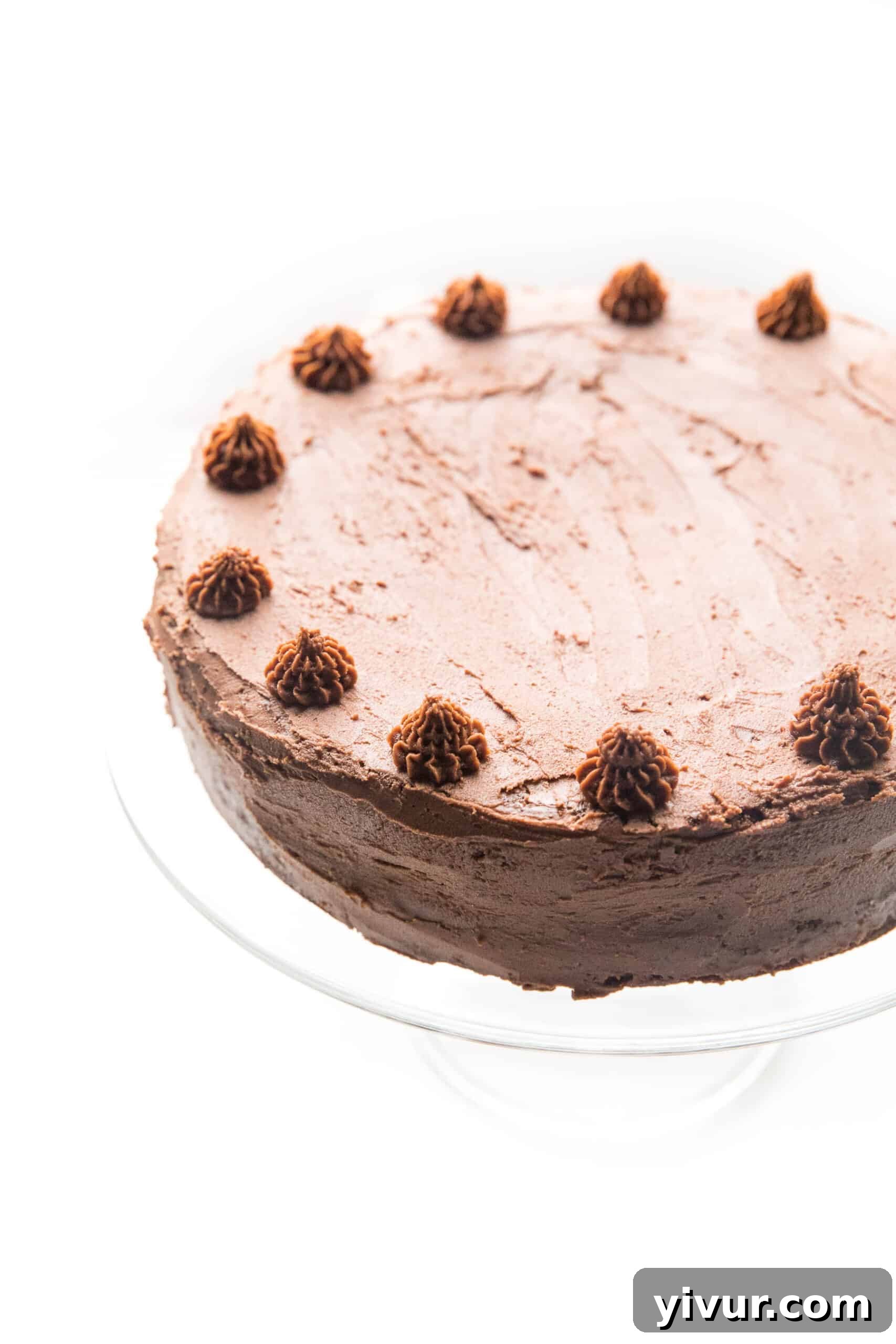 chocolate cake decorated on a white background