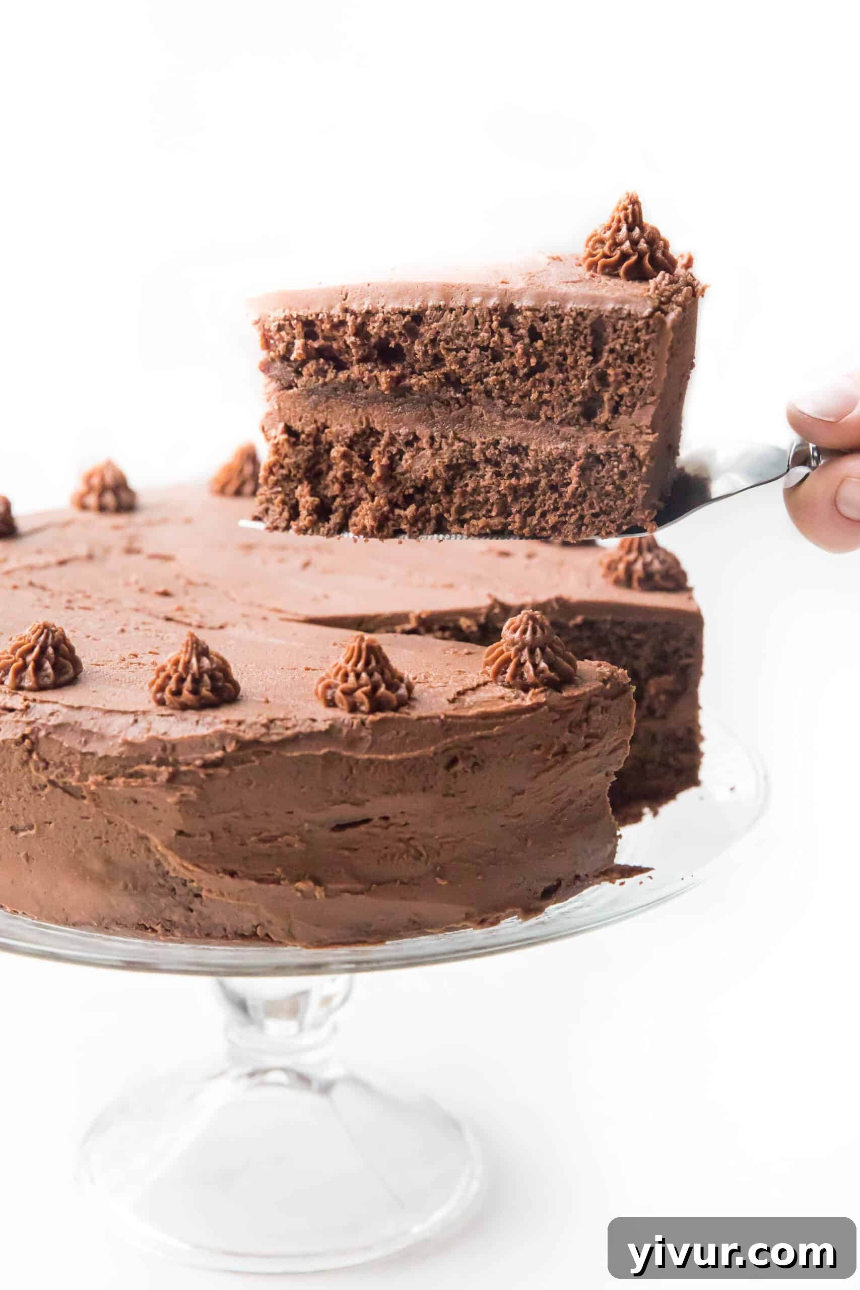 Lifting a slice of chocolate cake