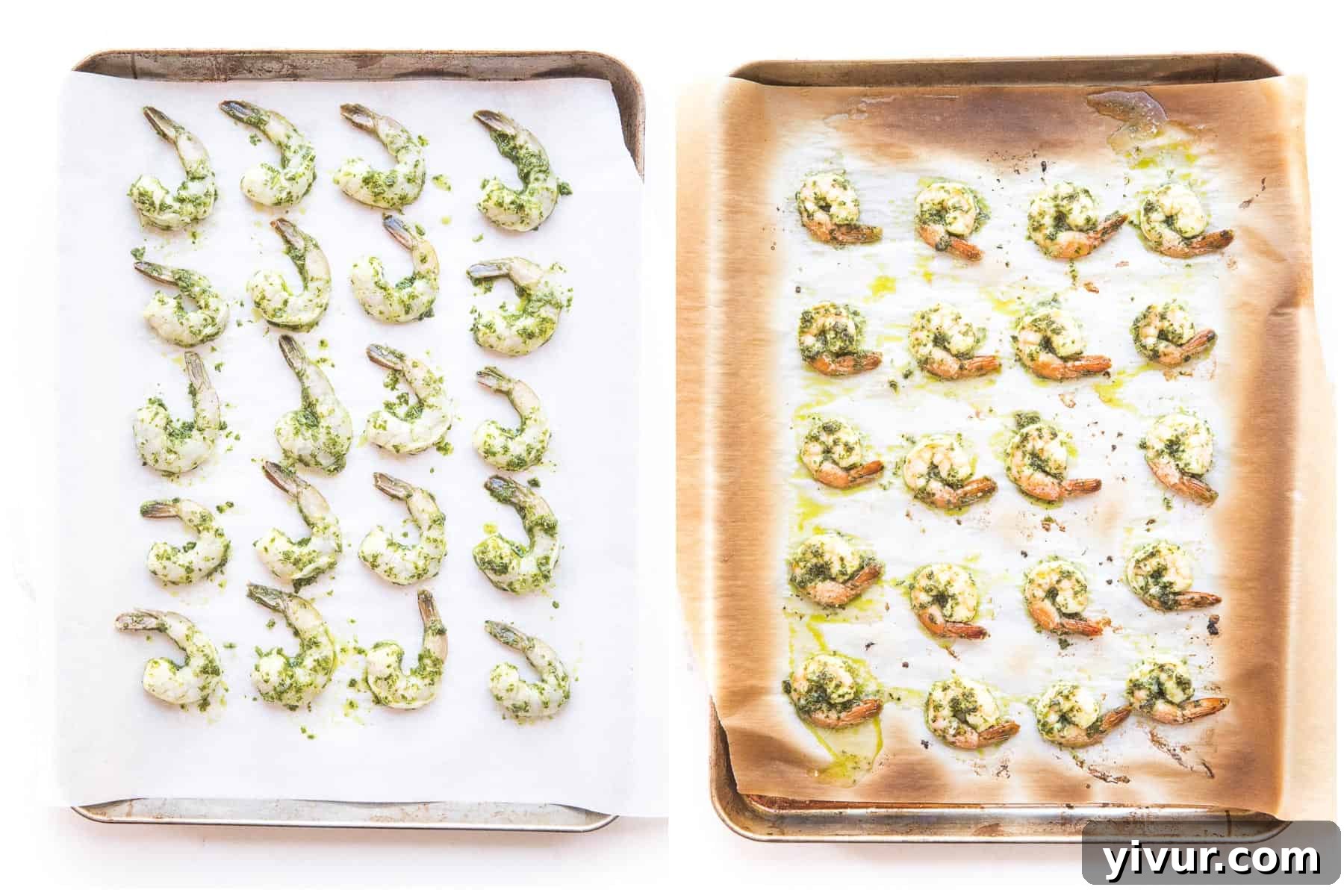 A close-up shot demonstrating how to broil chimichurri shrimp in the oven, laid out on a baking sheet for even cooking.