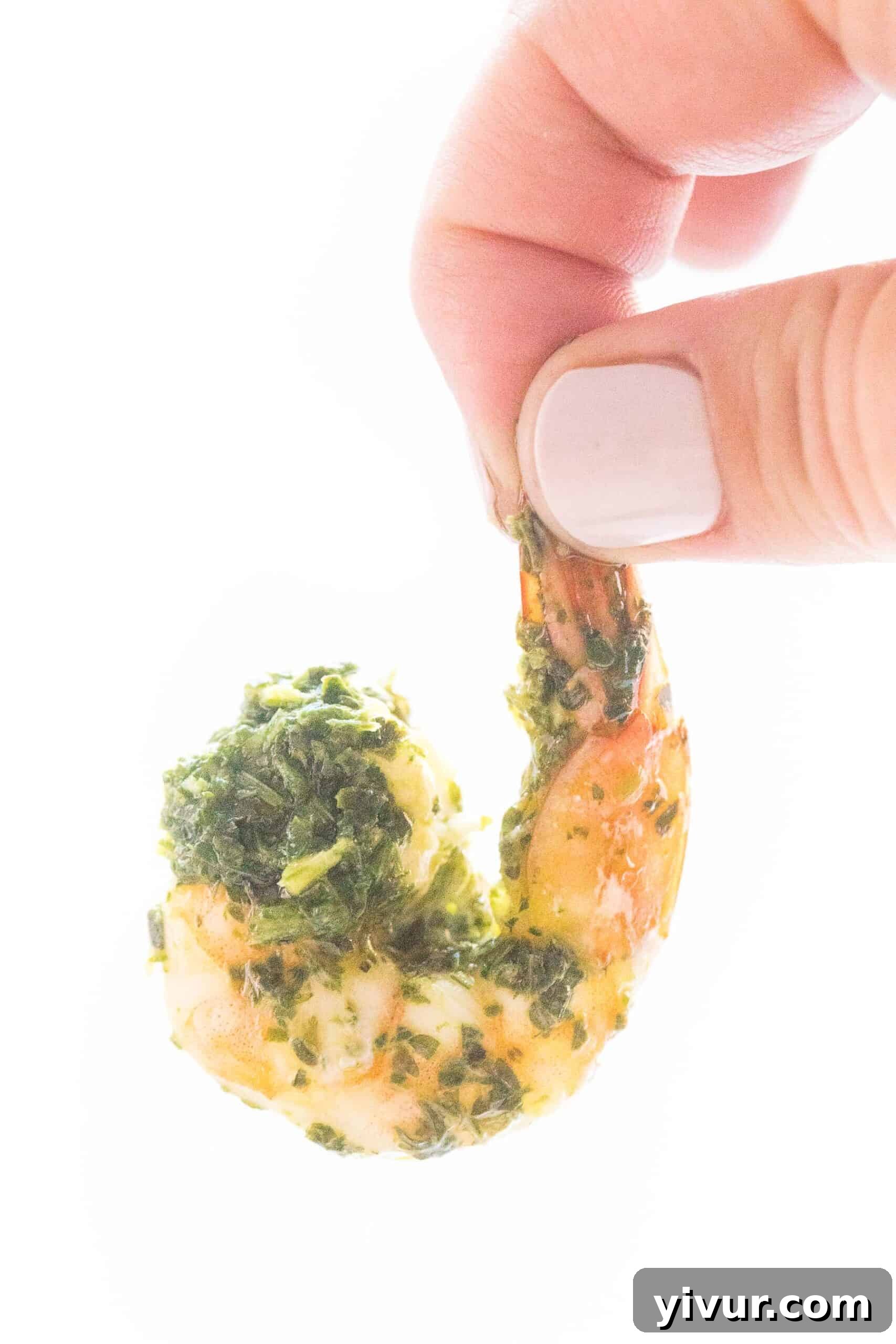 A vibrant bowl of chimichurri shrimp on a base of creamy cauliflower rice risotto, garnished with fresh parsley.