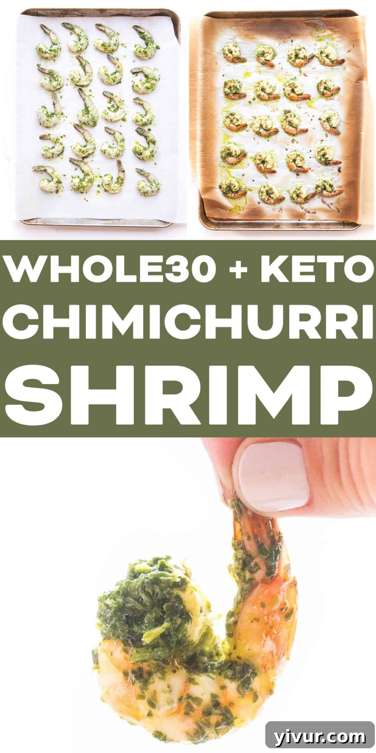 An overhead shot showcasing the full chimichurri shrimp meal, complete with fresh garnishes and a rustic appeal.