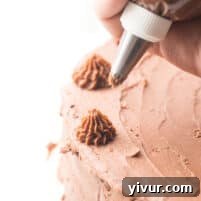 Creamy Keto Dairy Free Mint Chocolate Frosting 5 Piping chocolate frosting onto a cake