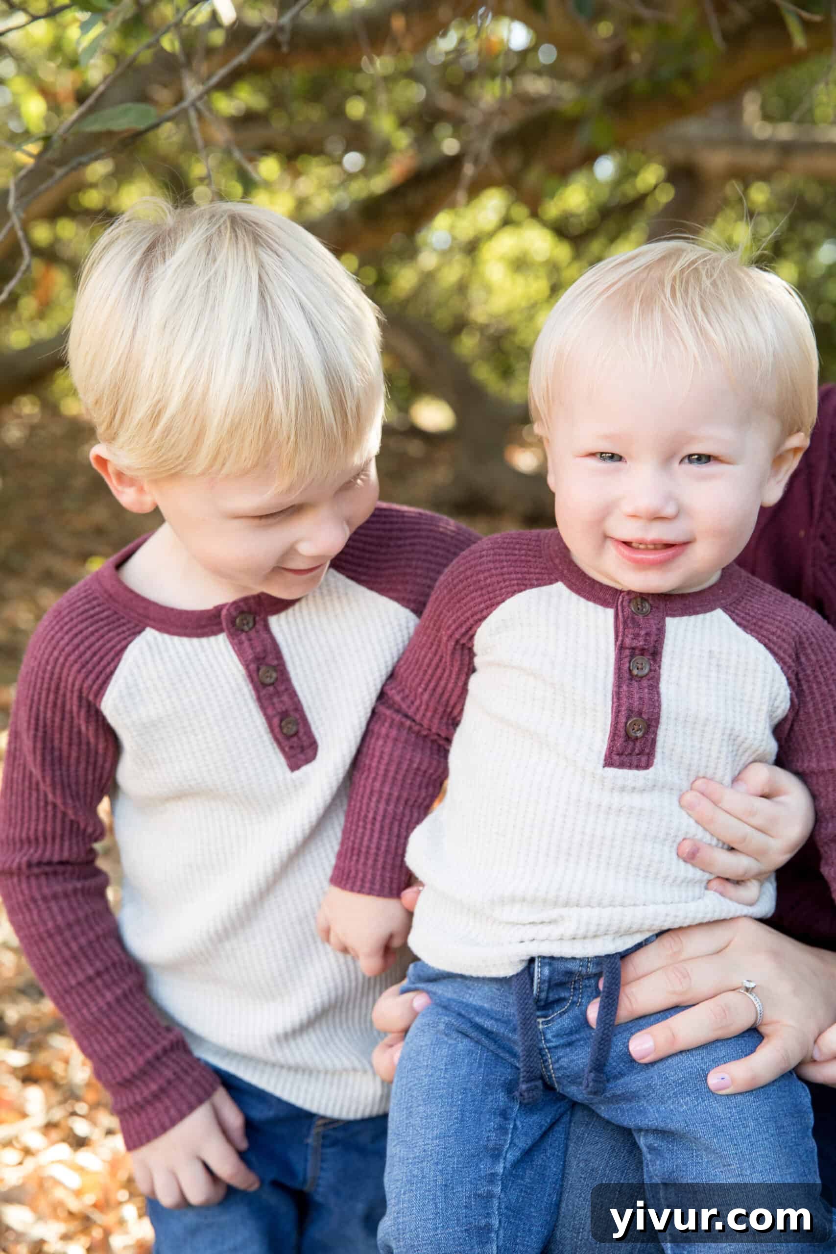 A festive holiday scene featuring a cozy arrangement of Christmas decorations, symbolizing warmth and joy.