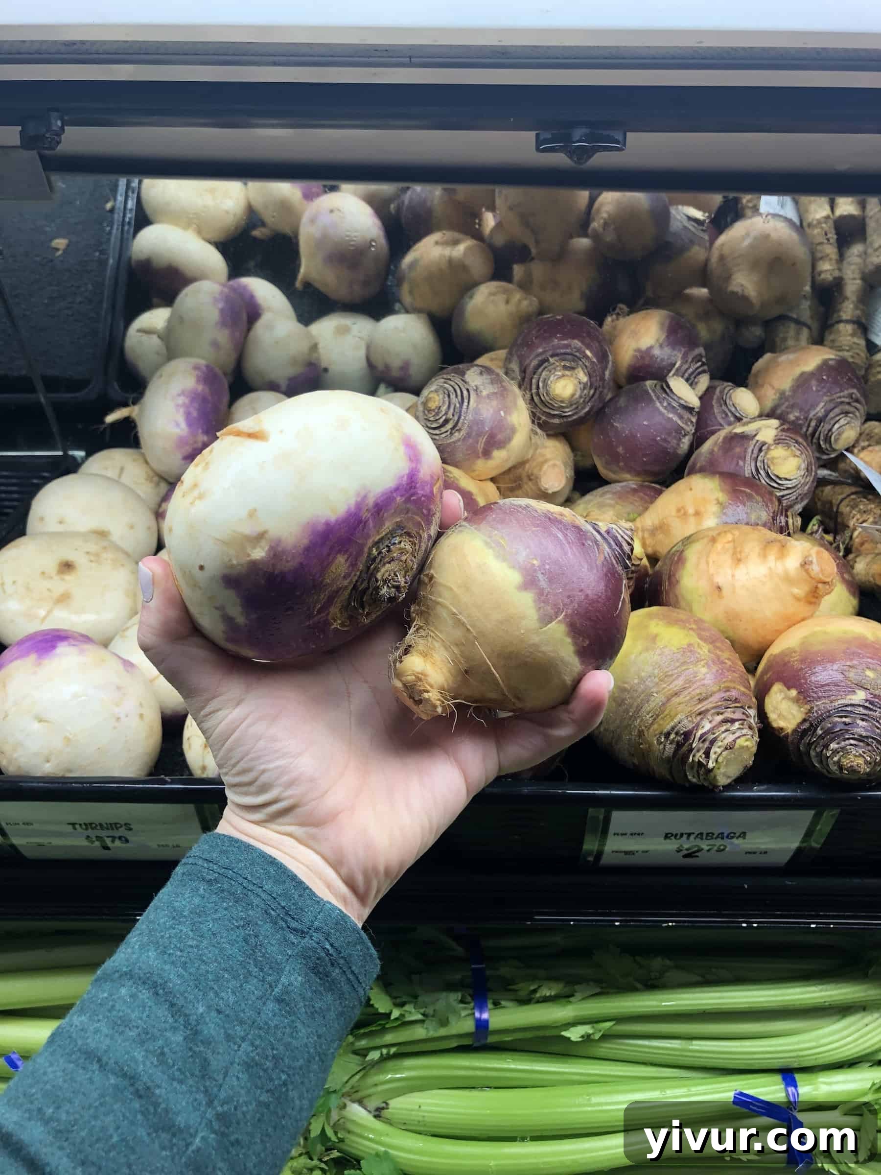 A hand holding unique low-carb vegetables, turnips and rutabagas, found in the Sprouts produce section.