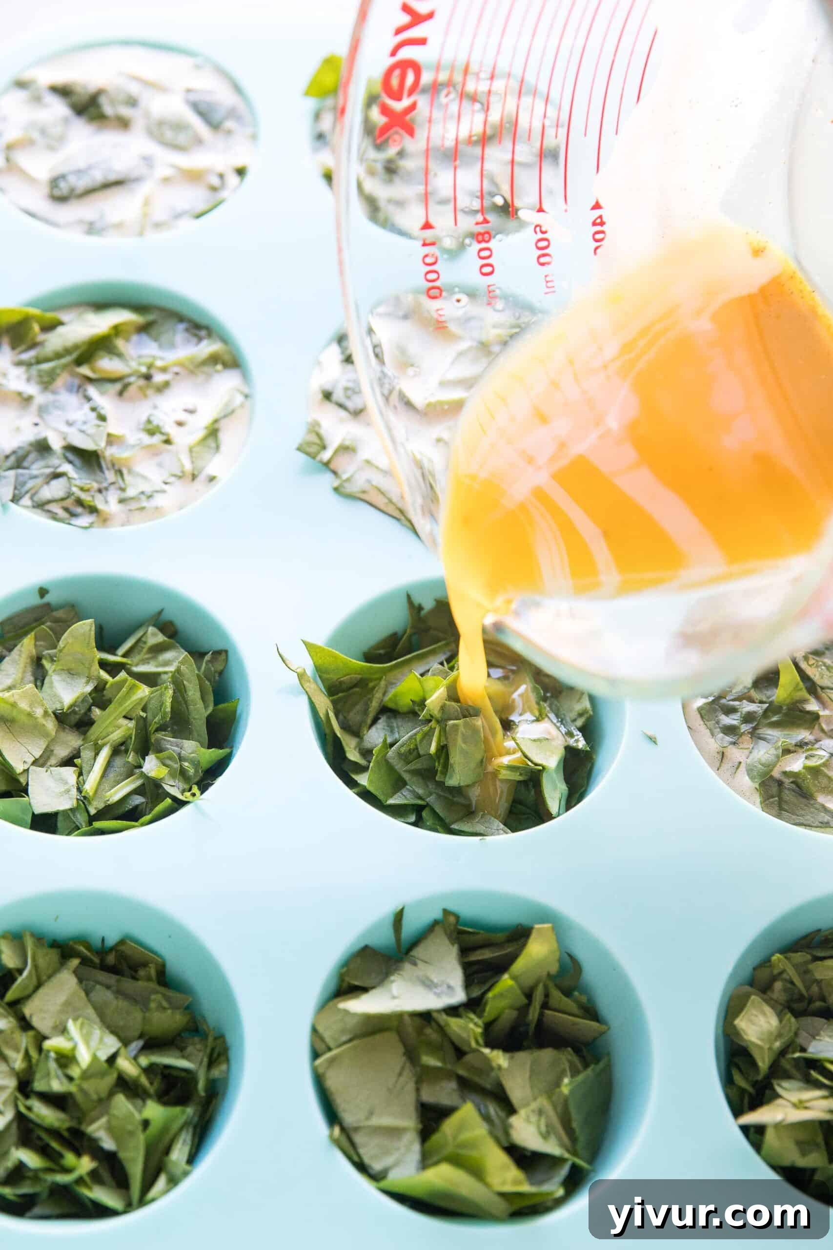 Several spinach egg muffins placed neatly in a glass meal prep container, highlighting their suitability for storing and transporting.