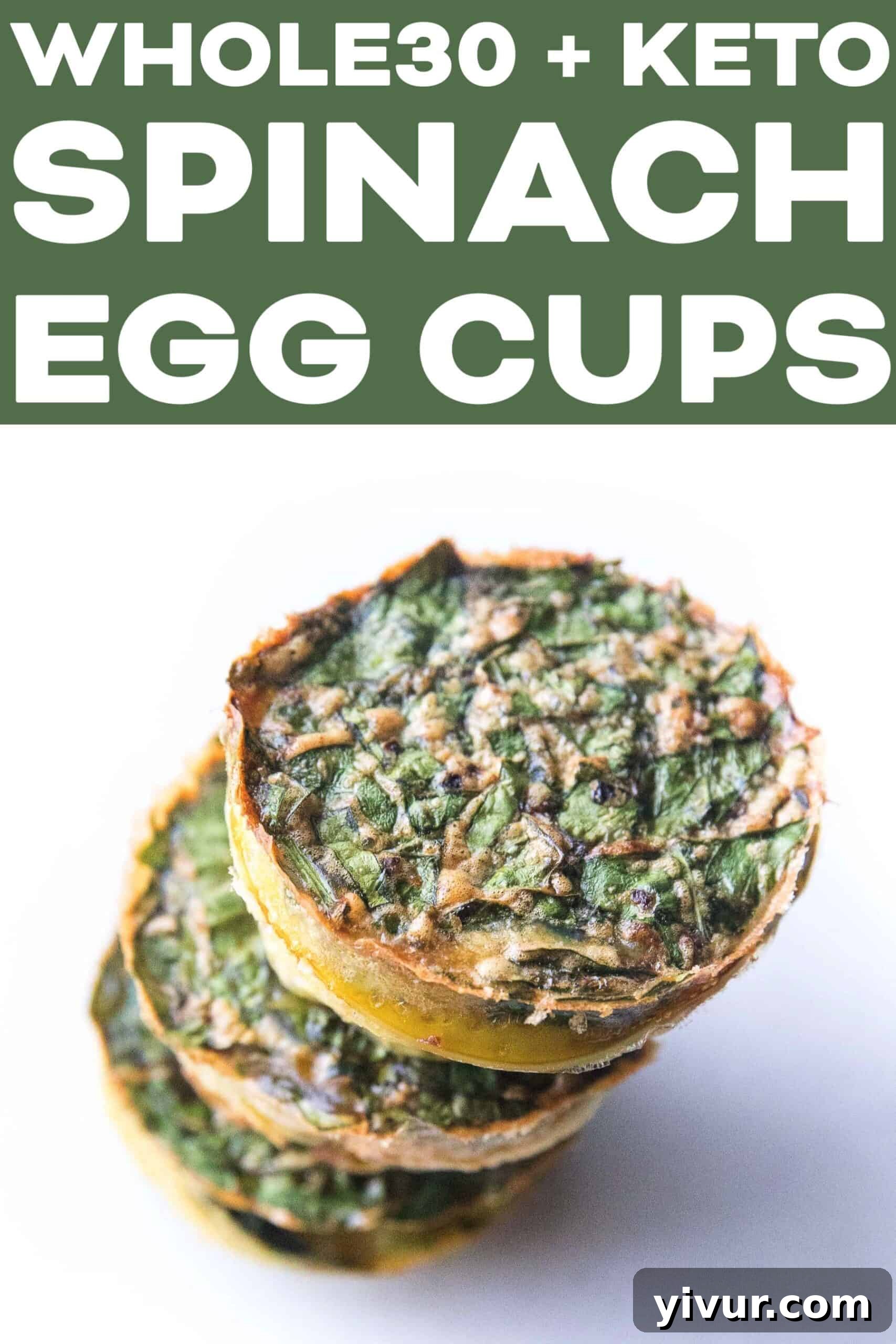 Two freshly baked spinach egg muffins on a white plate, garnished with a sprig of fresh herb, showcasing a ready-to-eat healthy breakfast.