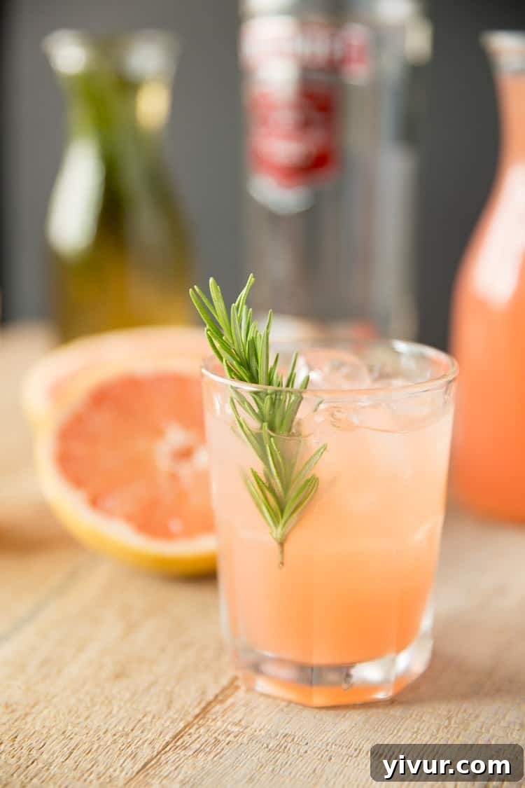 A close-up view of a glass filled with a vibrant pink vodka and grapefruit juice cocktail, featuring a rosemary-infused simple syrup, adorned with a fresh rosemary sprig.