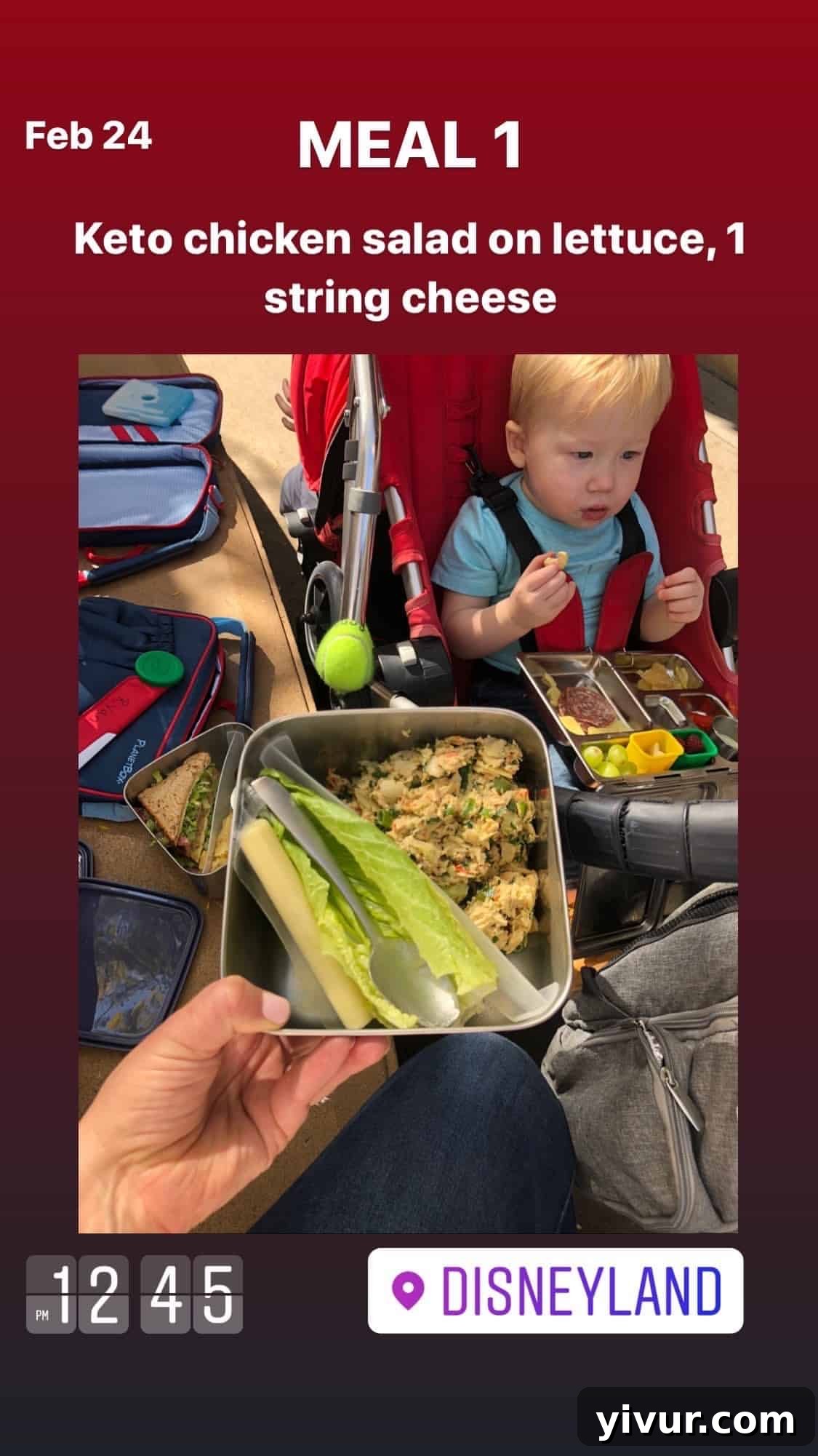 Chicken salad with romaine lettuce and string cheese - a quick and easy keto snack