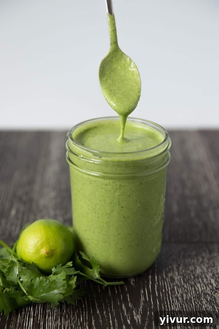 Assembly of chicken tacos with vibrant toppings and the irresistible cilantro lime ranch dressing