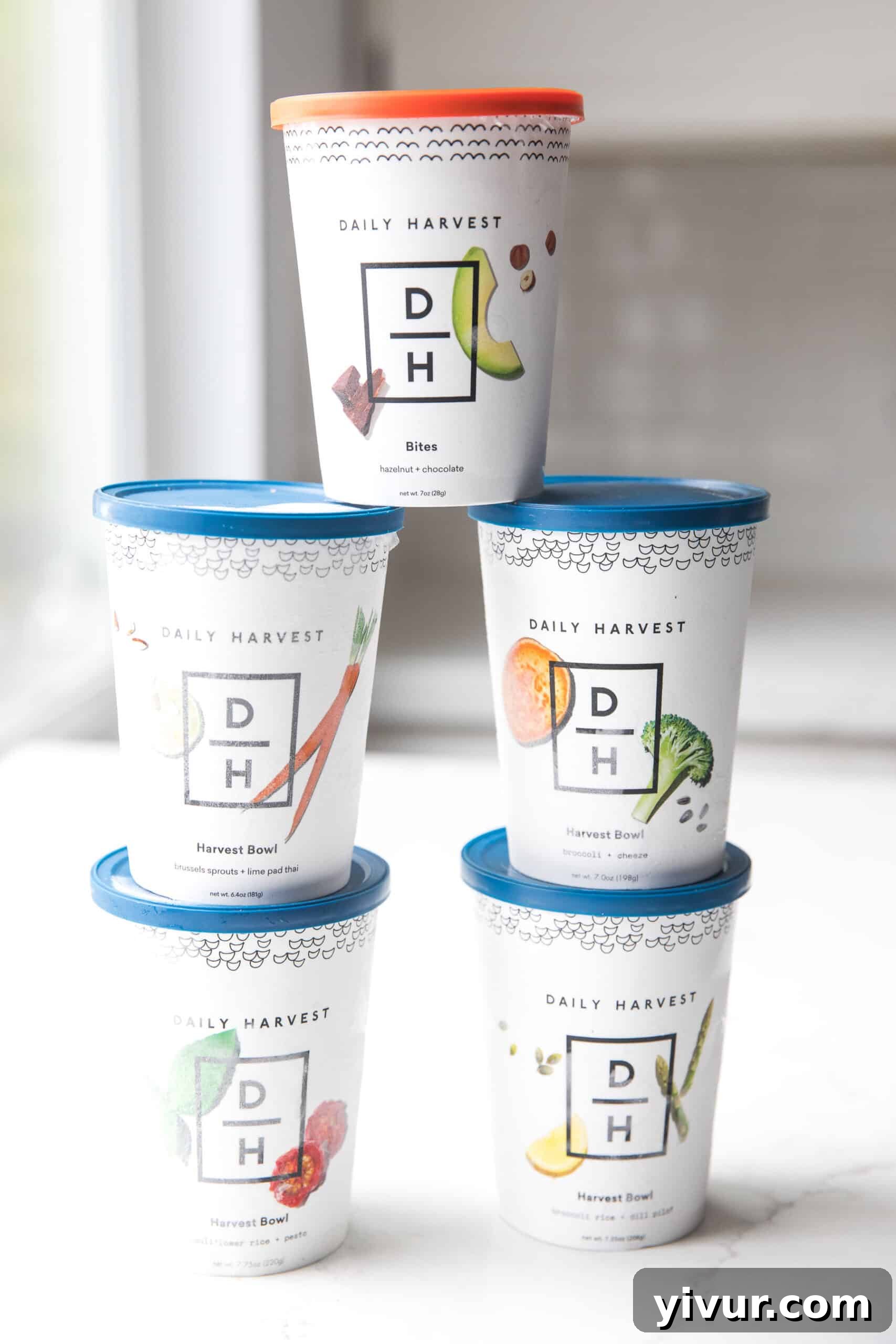 A vibrant selection of Daily Harvest Harvest Bowls and Bites, showcasing healthy and convenient plant-based meals delivered frozen to your door.