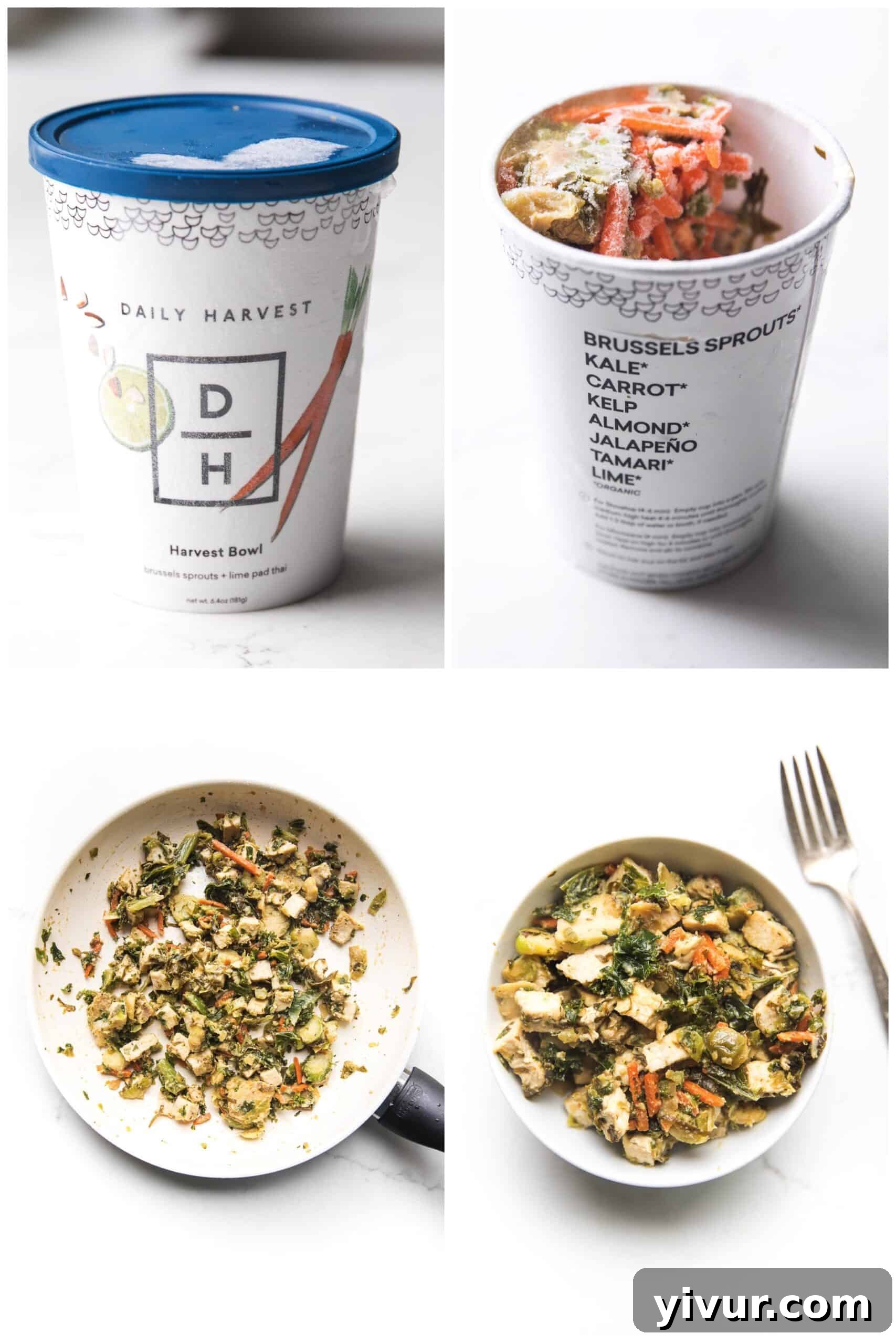 Daily Harvest Harvest Bowl - Brussels Sprouts + Lime Pad Thai, a flavorful and convenient plant-based meal.