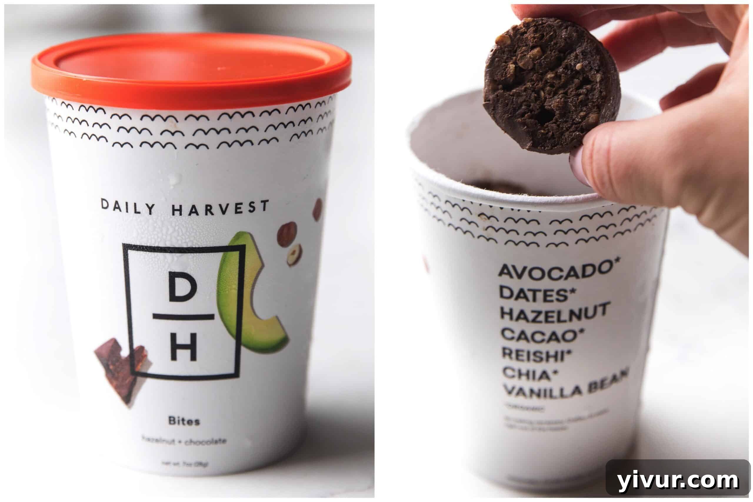 Daily Harvest Bites - Hazelnut + Chocolate, a delicious and healthy frozen treat.