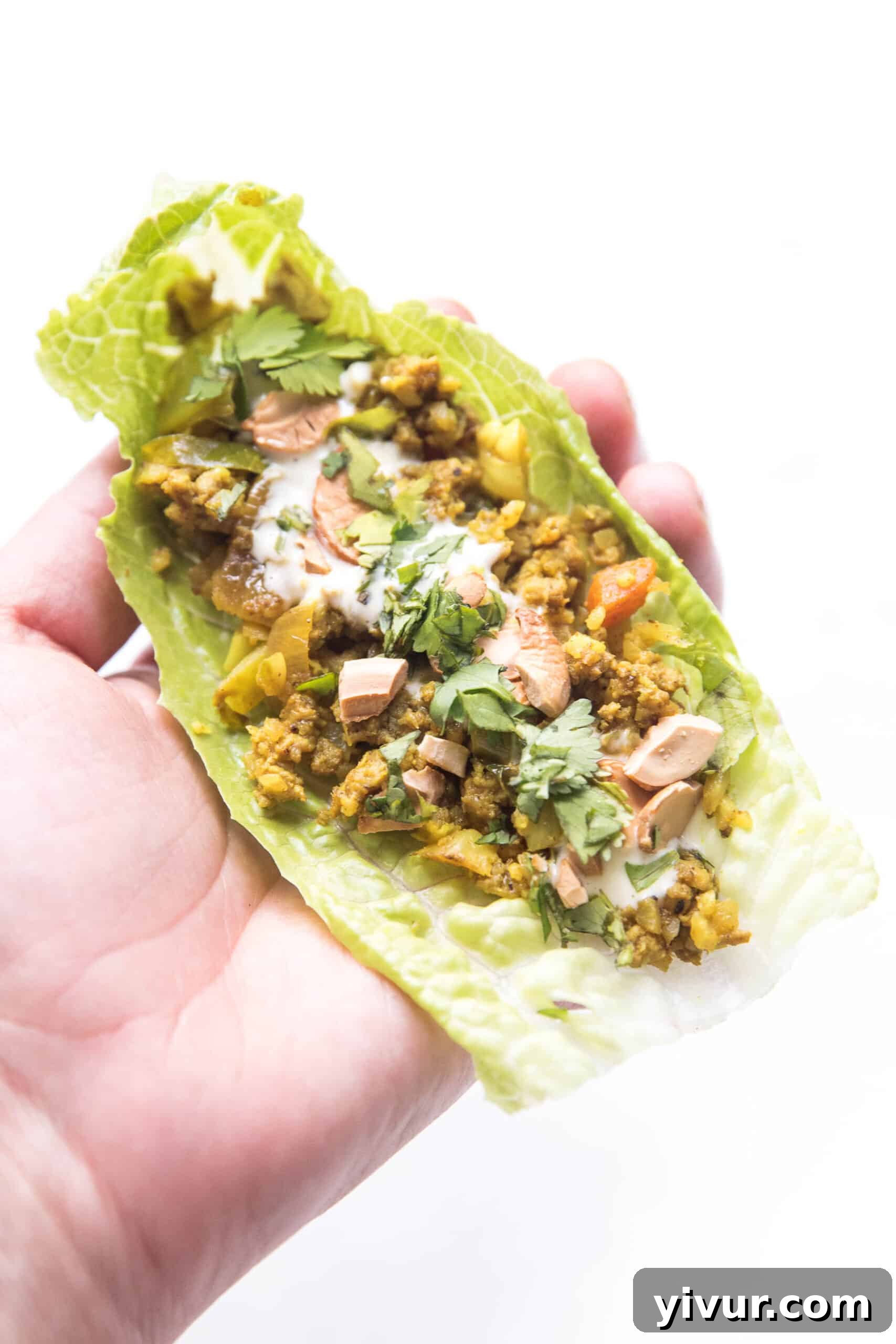 Curry lettuce wraps with cashews and cilantro in a hand
