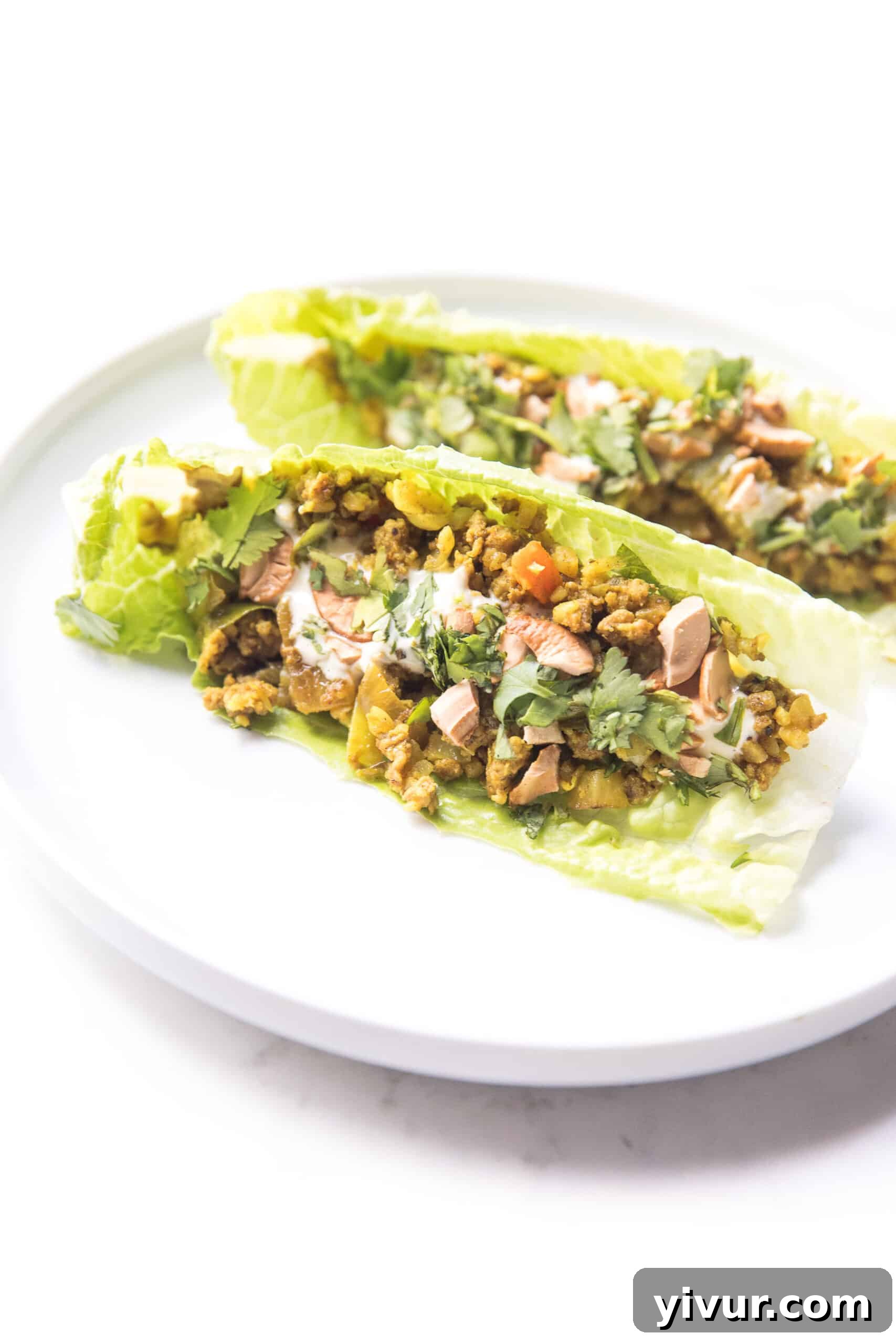 Curry lettuce wraps with cashews and cilantro on a white plate