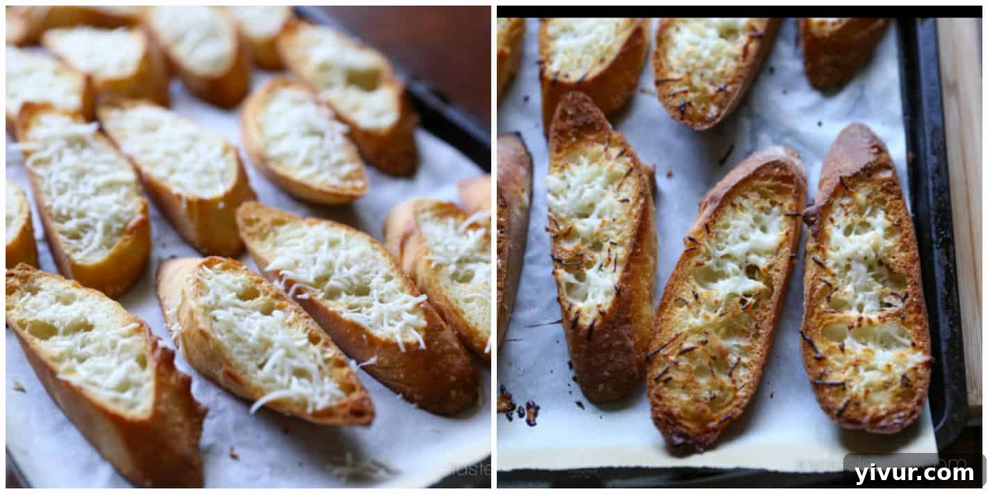 Bruschetta-14: Crostinis with melted mozzarella cheese