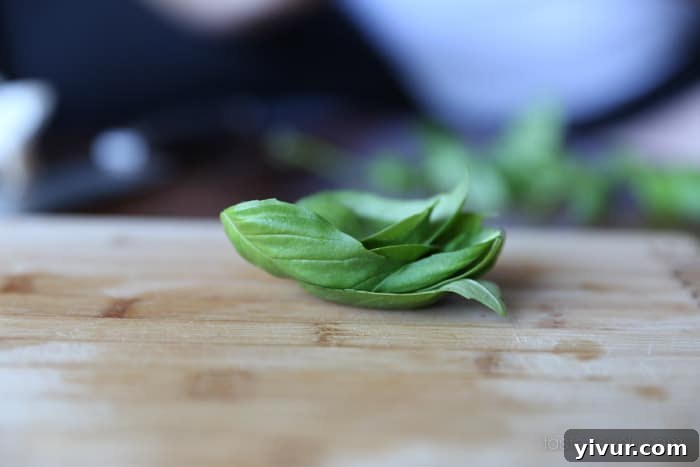 Bruschetta-5: Fresh basil leaves
