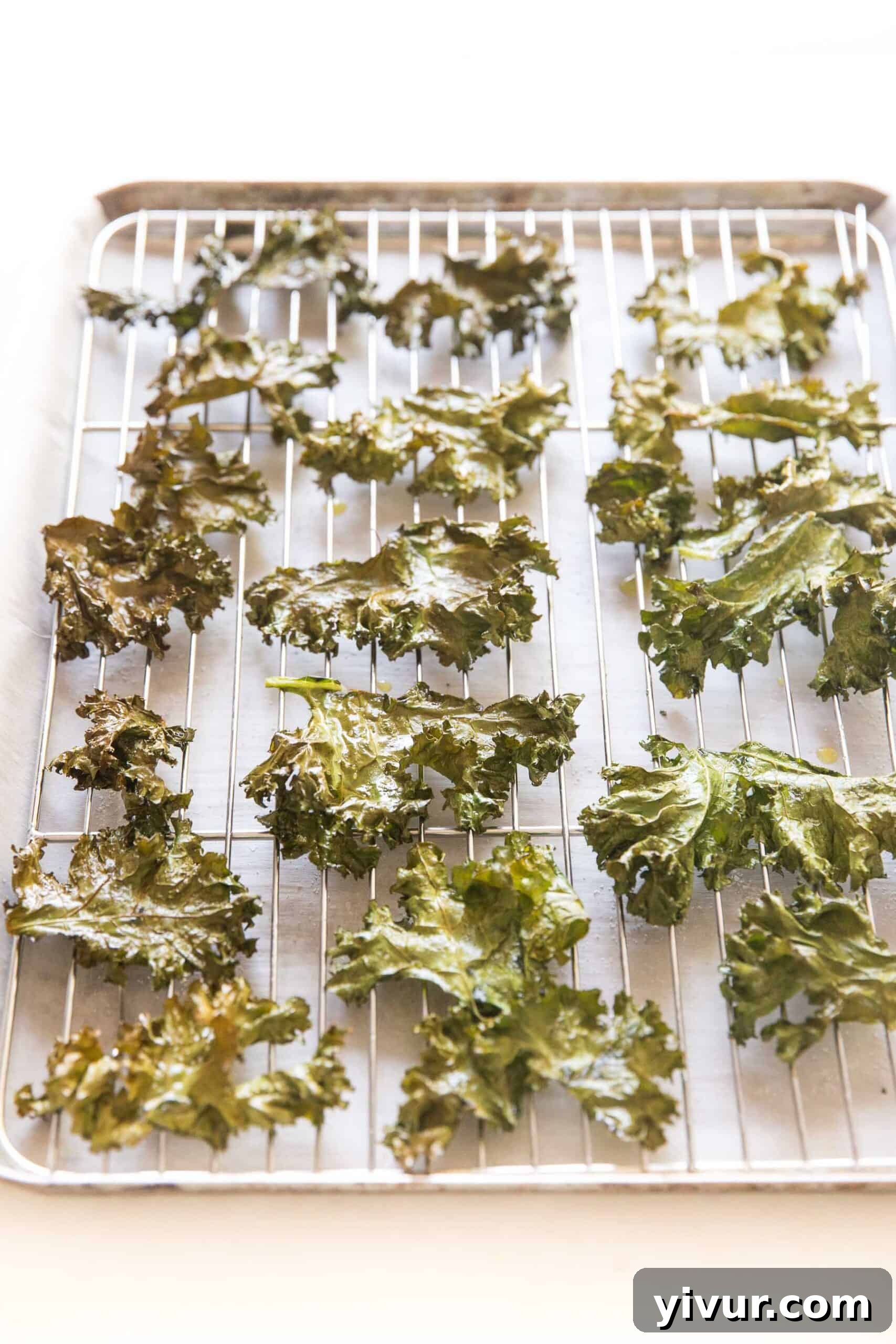 A close-up shot of freshly baked, perfectly golden-green crispy kale chips cooling on a wire rack set over a rimmed baking sheet, showcasing their irresistible texture.