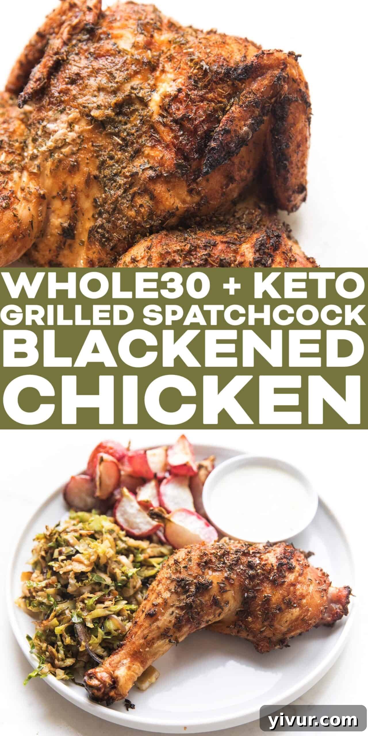 A vibrant close-up of the grilled blackened chicken, highlighting its rich color and texture.