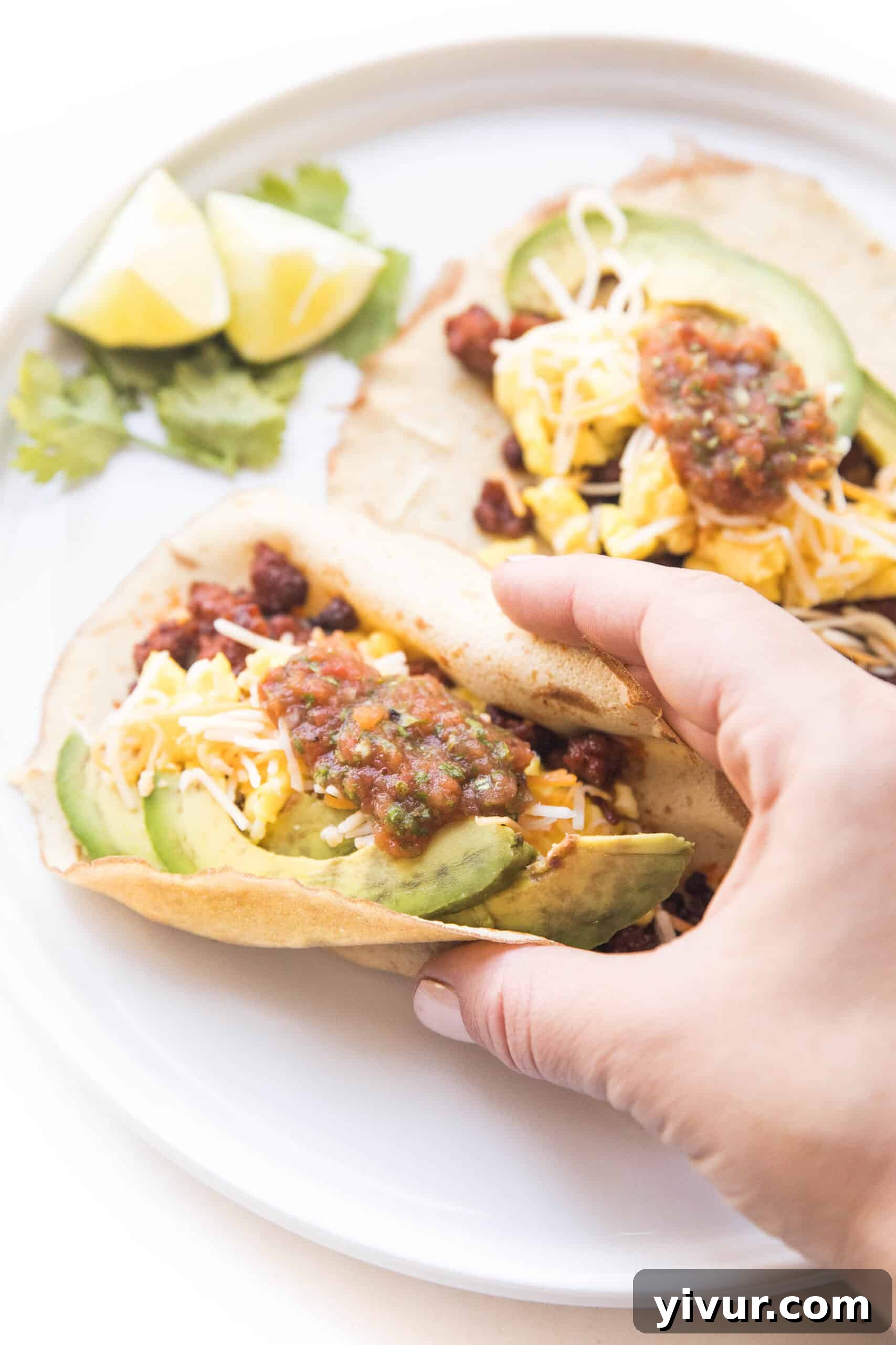 Low-Carb Morning Taco Delights 3 Close-up of a single Keto Breakfast Taco on a white plate with fresh ingredients