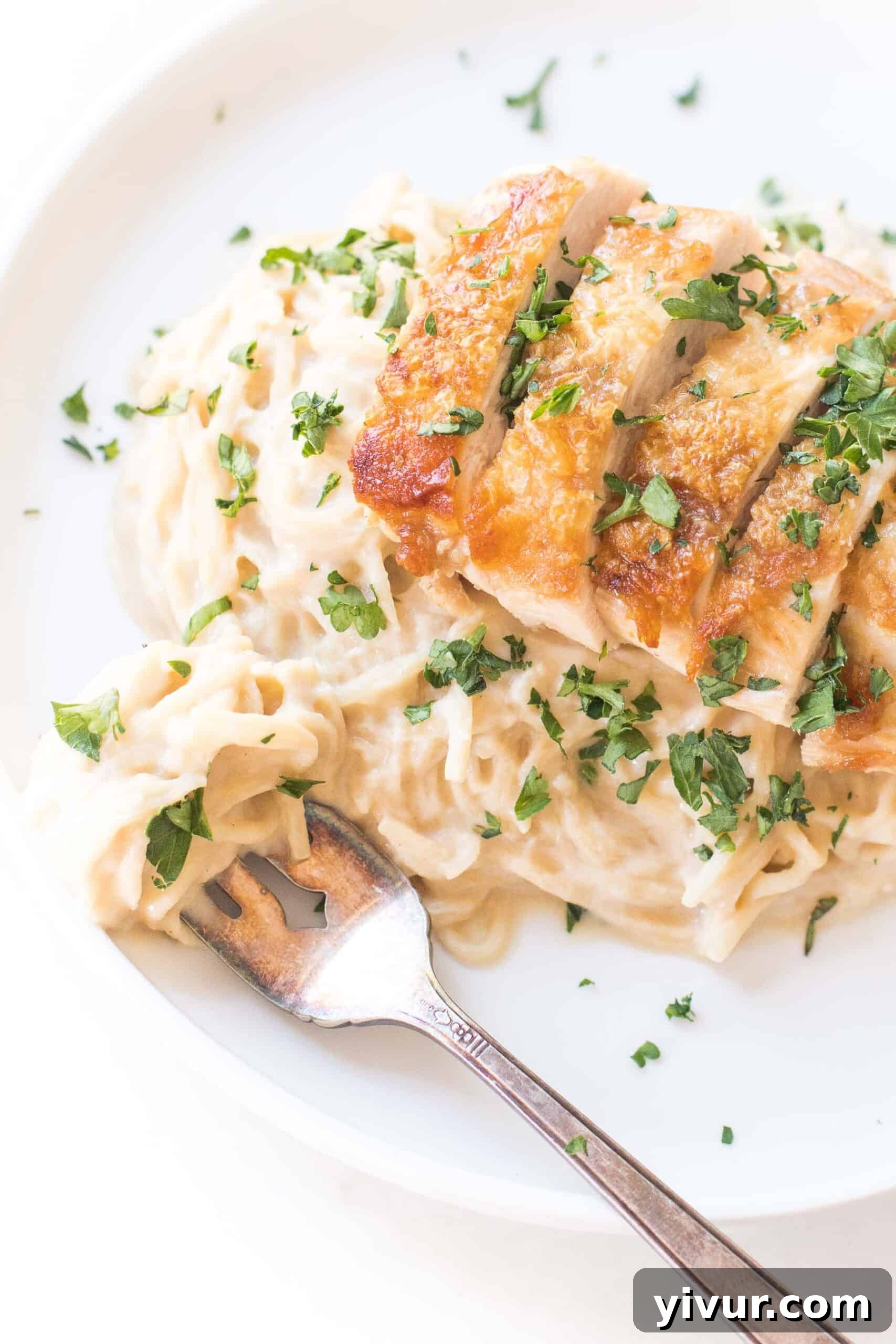 Decadent Dairy Free Vegan Keto Alfredo Sauce 2 creamy chicken cauliflower alfredo pasta topped with fresh basil on a white plate