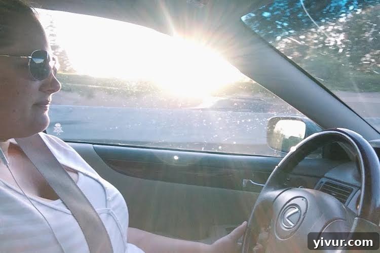 New to me Lexus car driving on a scenic road with trees