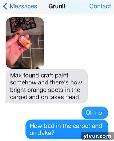 Text message from Shawn about dog getting into paint