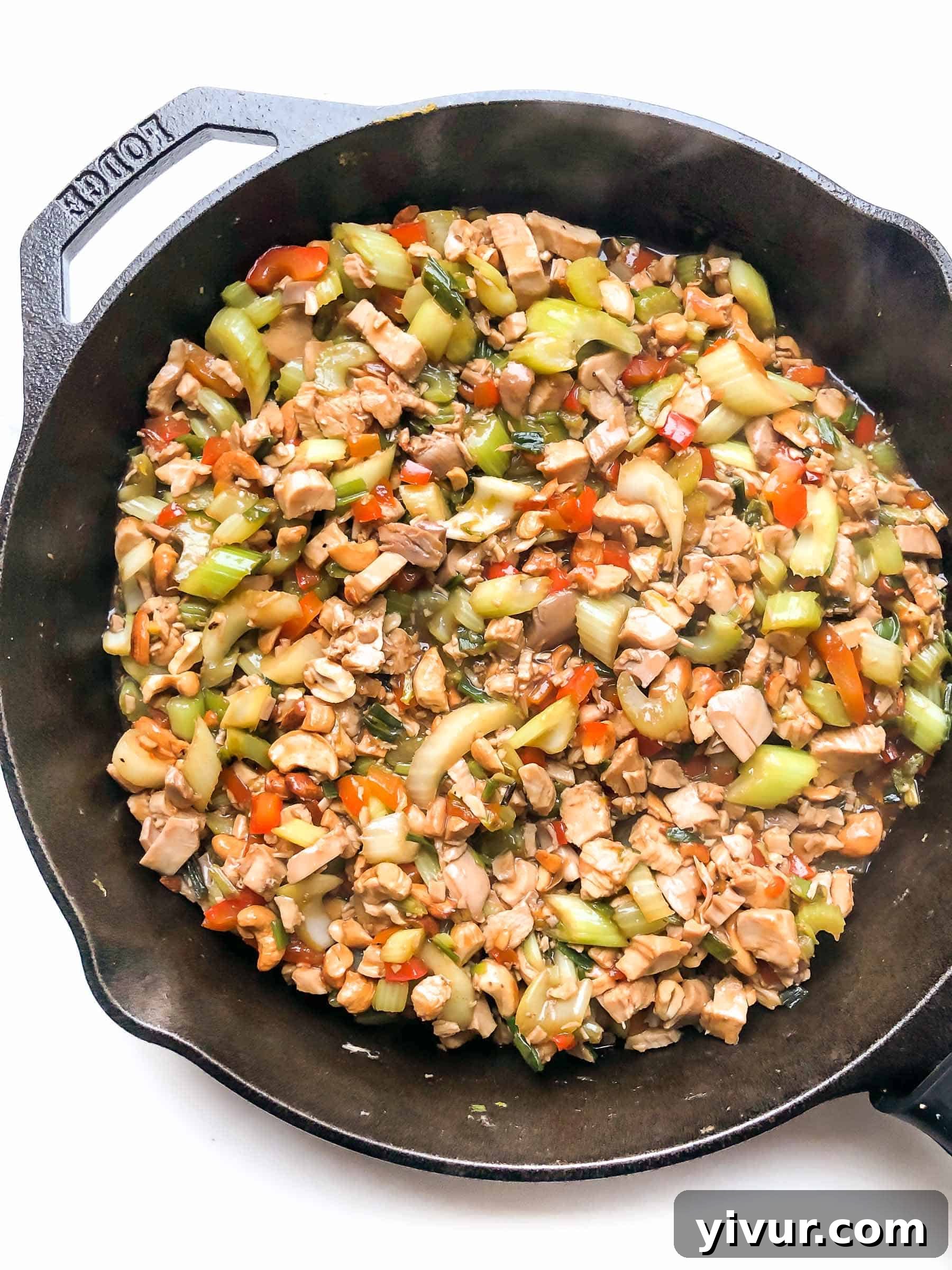 CHICKEN AND CELERY STIR FRY IN A CAST IRON SKILLET