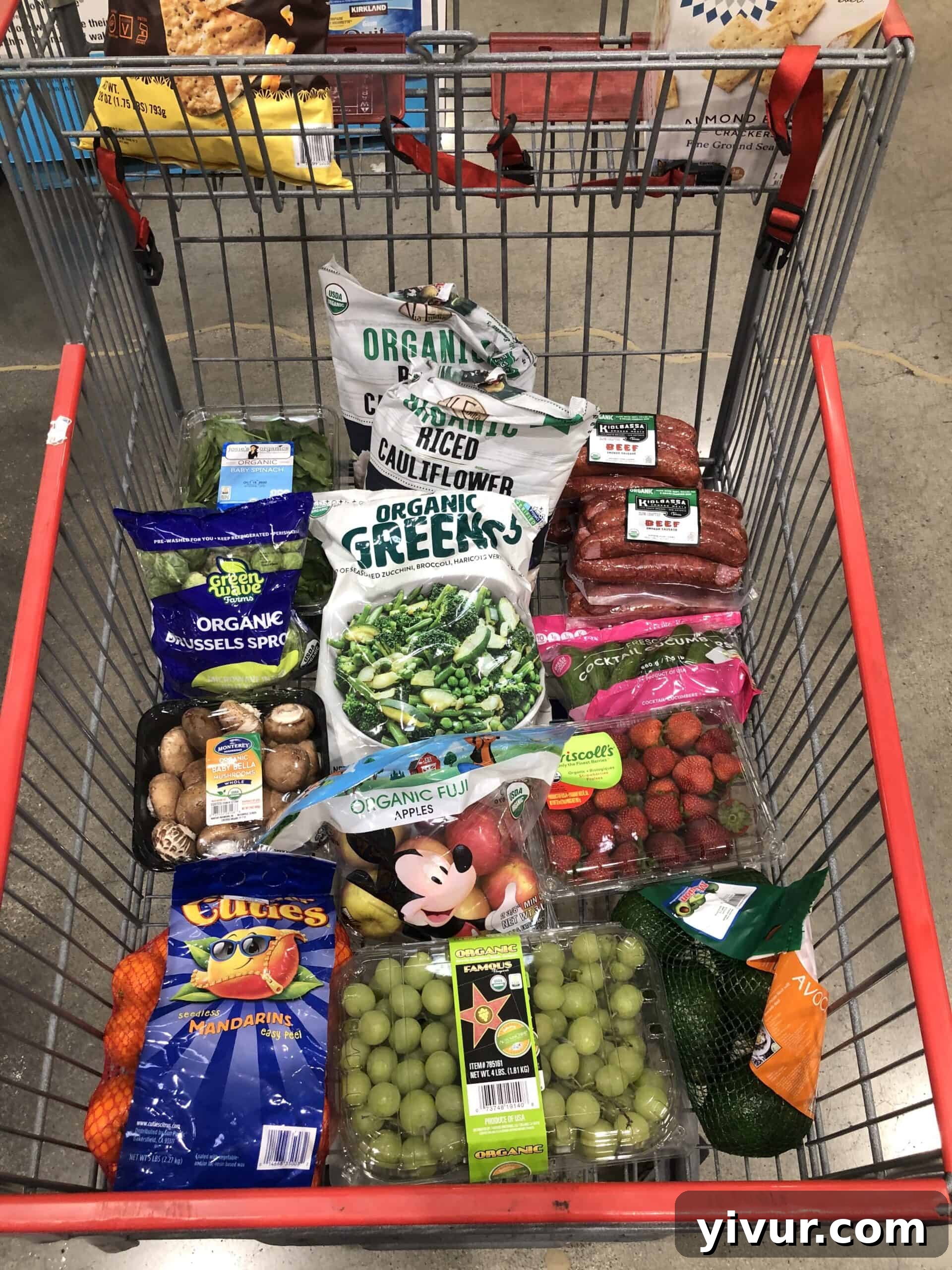 Costco grocery haul showcasing bulk keto essentials like healthy fats, nuts, and organic produce