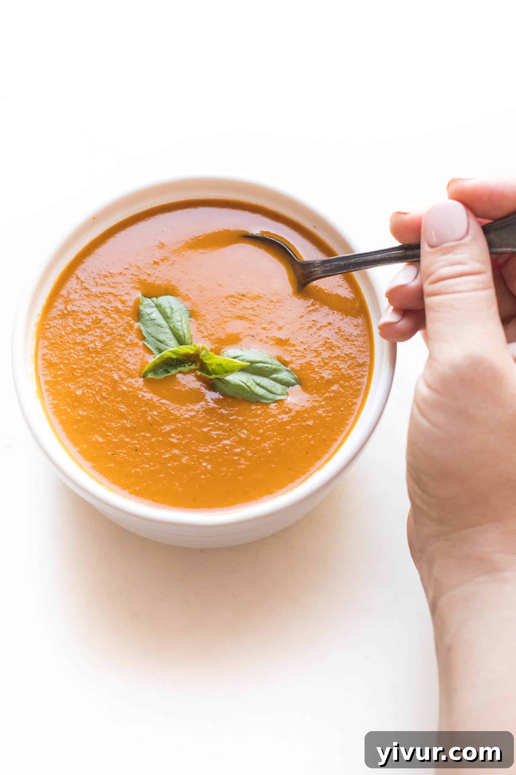 Hand spooning rich roasted tomato basil soup from a white bowl, set against a pristine white background
