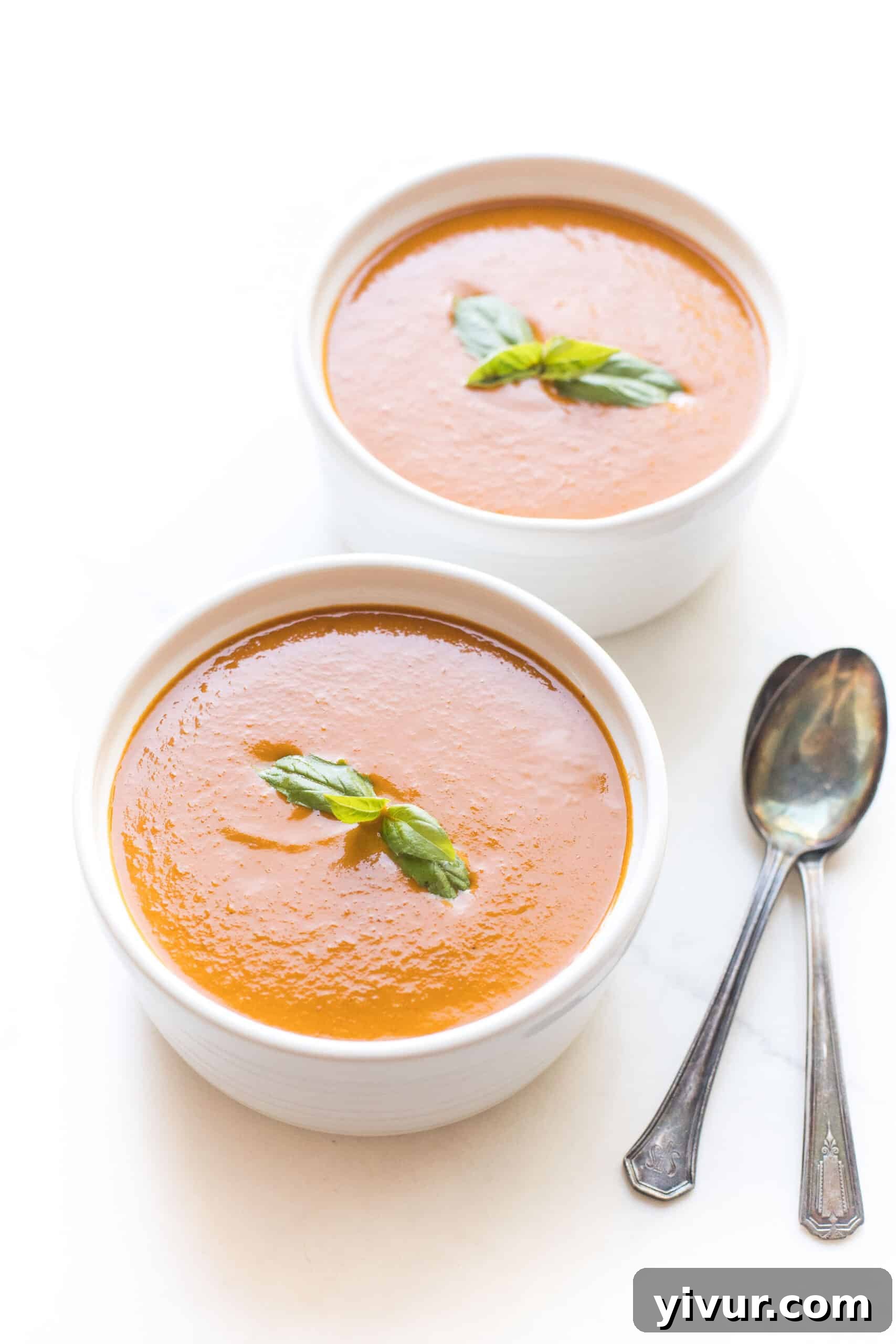 Close-up of roasted tomato basil soup in a pristine white bowl, garnished with fresh basil leaves on a white background