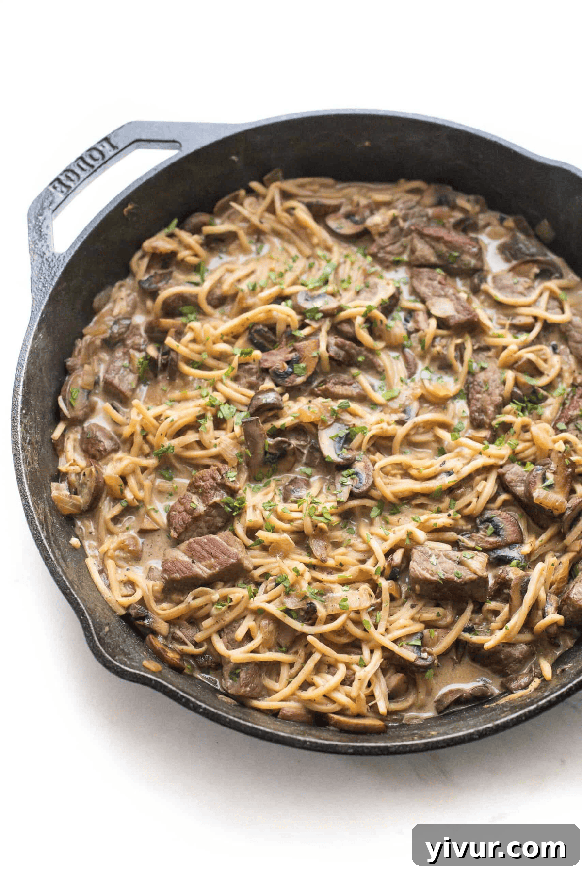 A delectable photo of keto beef stroganoff, rich with steak and mushrooms, served in a rustic cast iron skillet.