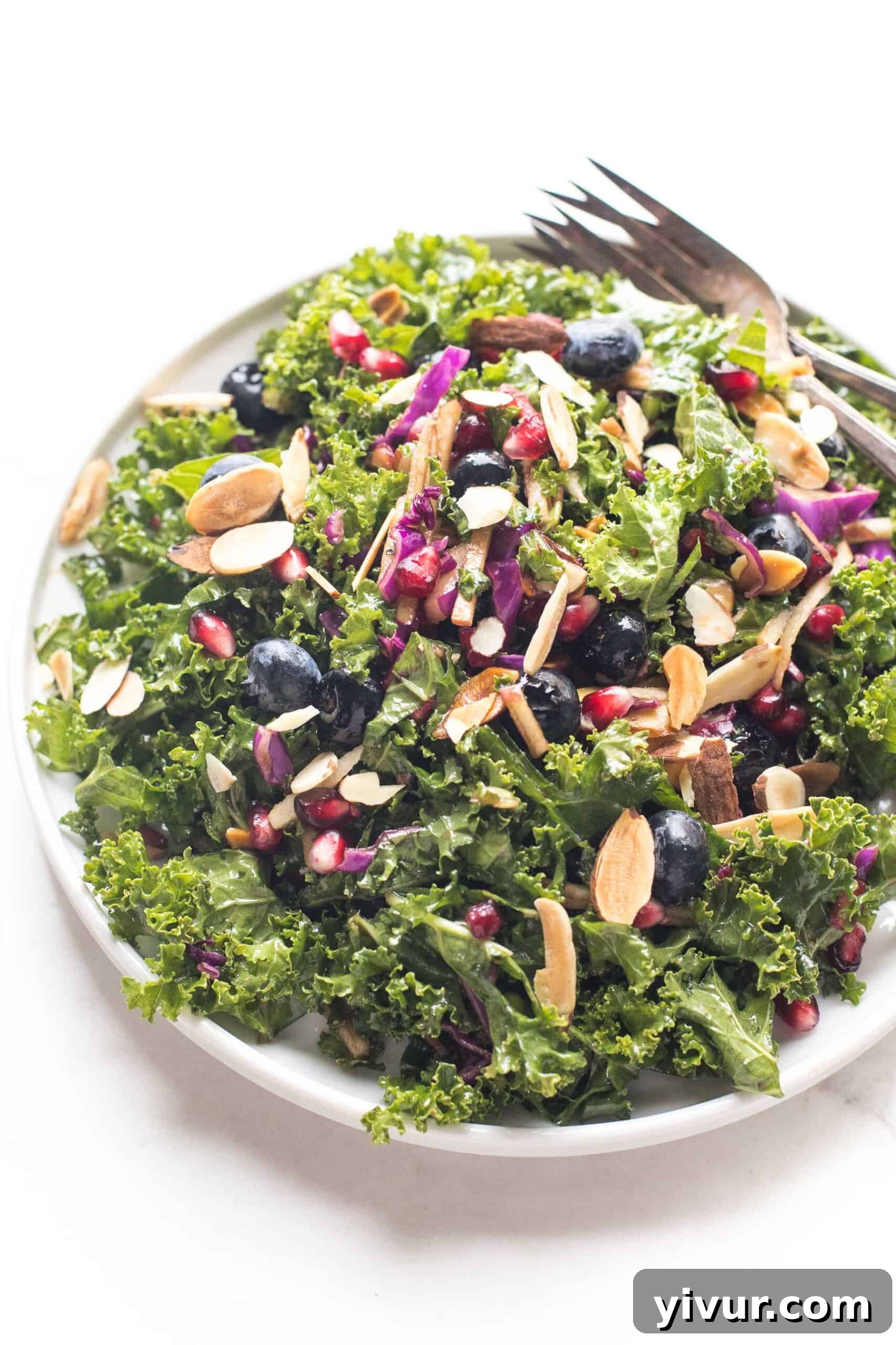 A beautiful Keto Kale Pomegranate and Blueberry Salad with almonds, green onions, red cabbage, and apples on a white plate.