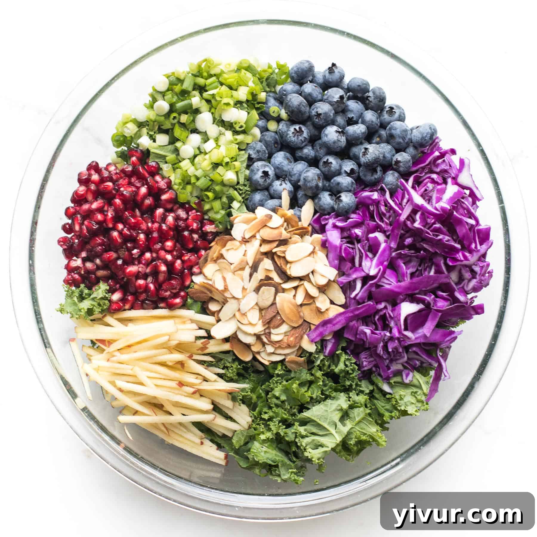 A close-up of the Keto Kale Pomegranate and Blueberry Salad ingredients in a bowl on a white background, showcasing fresh produce.