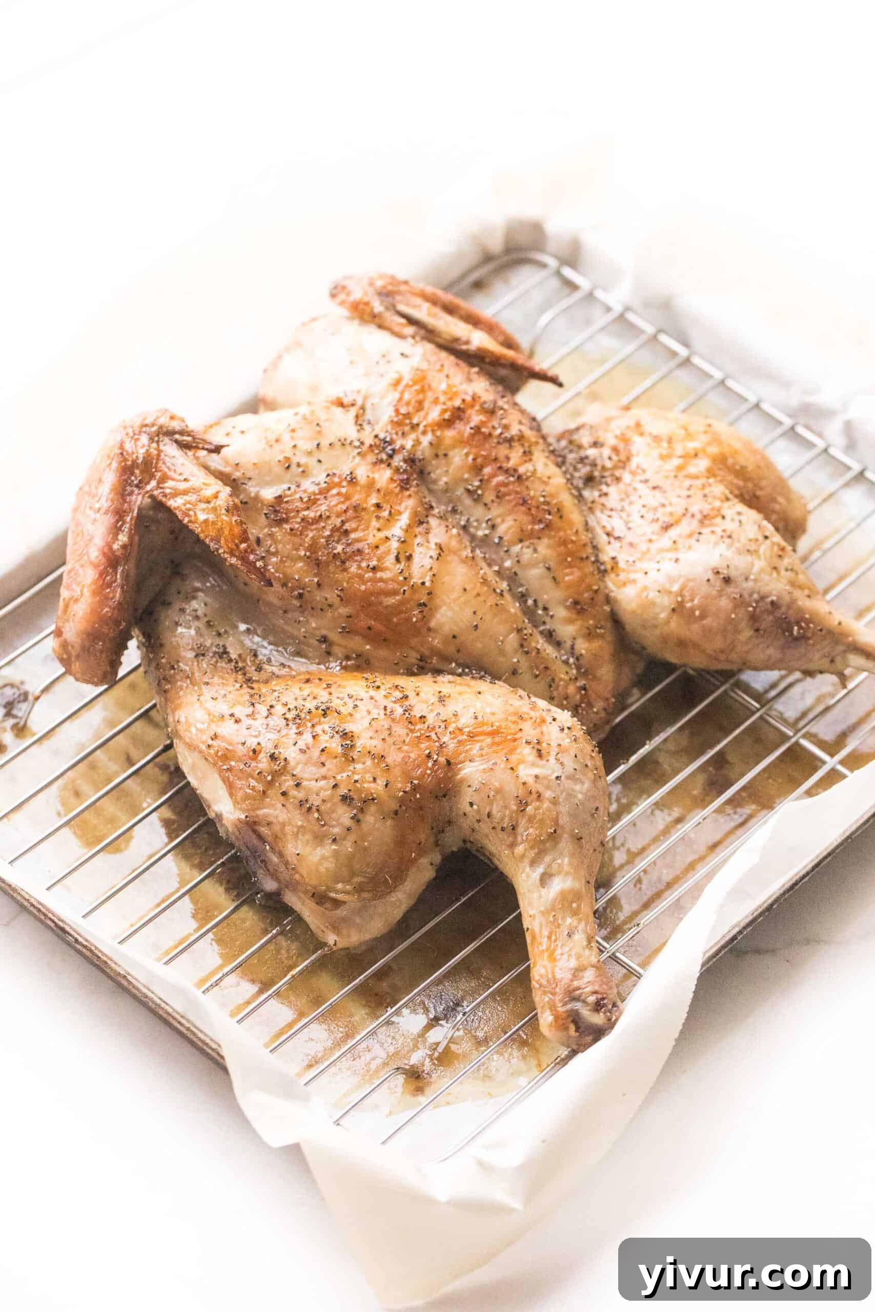 Golden-brown, crispy-skinned spatchcock roasted chicken on a rimmed baking sheet, ready to be served